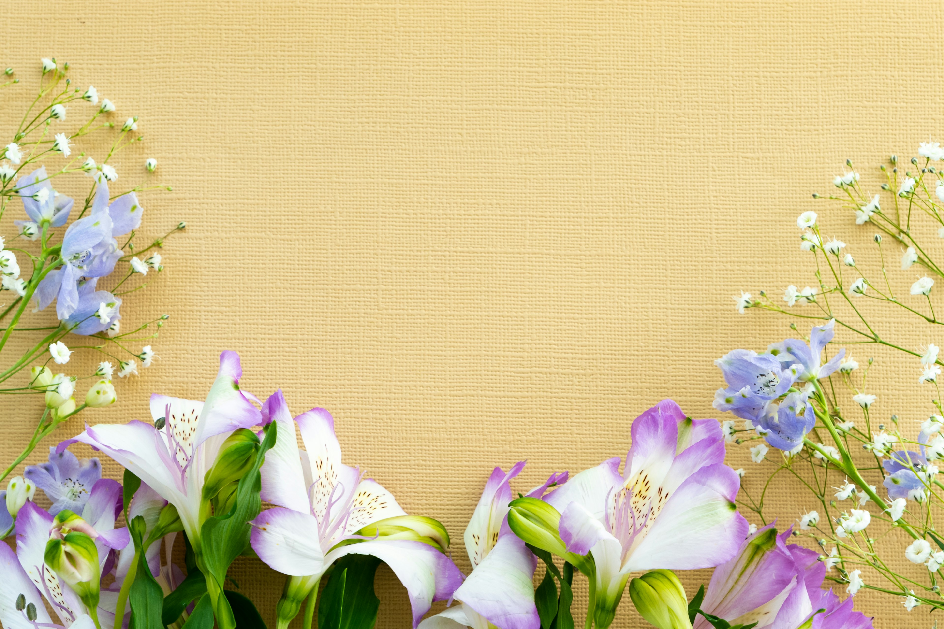 Flores delicadas con acentos morados y flores blancas enmarcando un fondo amarillo suave