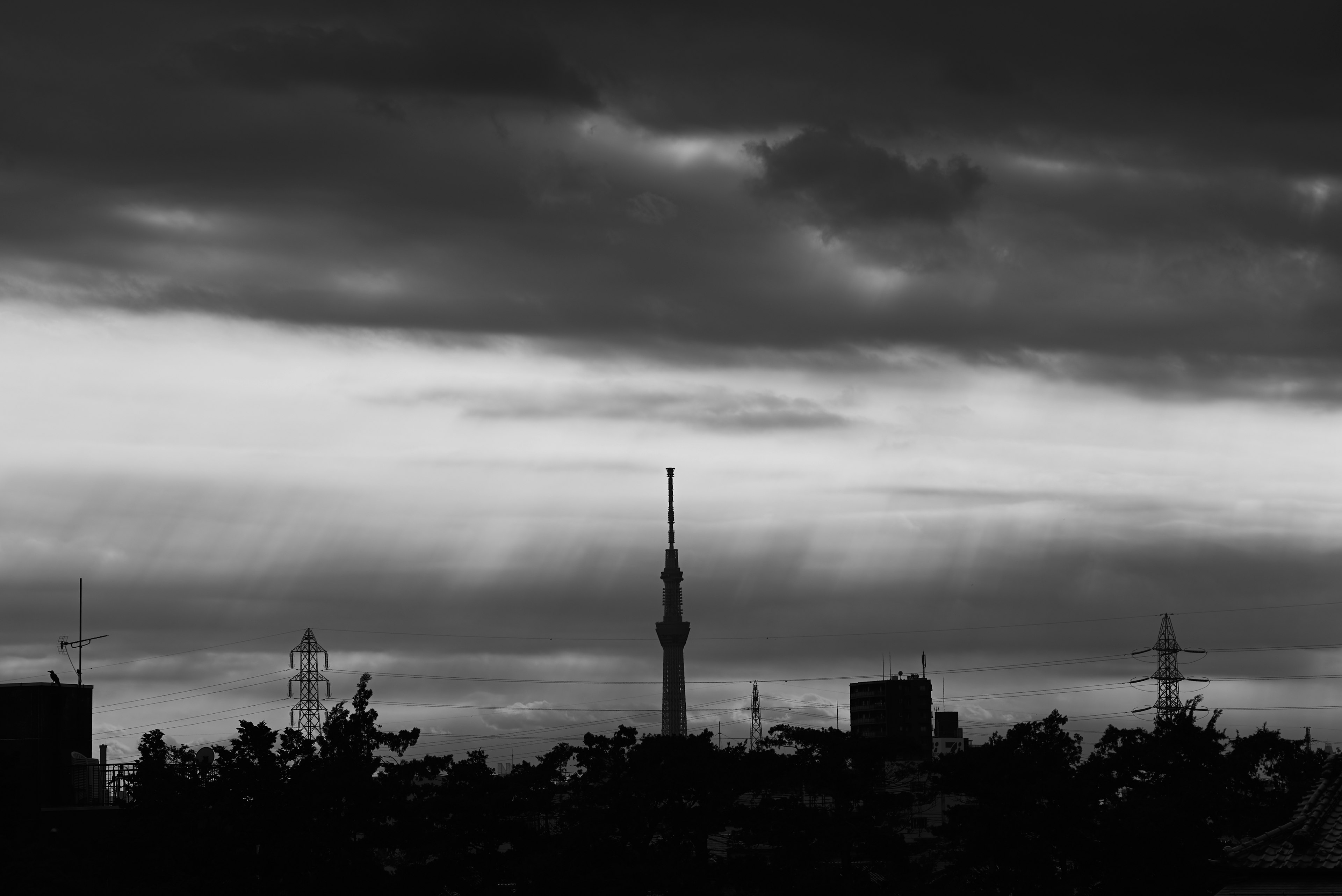 Pemandangan hitam putih menampilkan Tokyo Skytree di bawah langit mendung