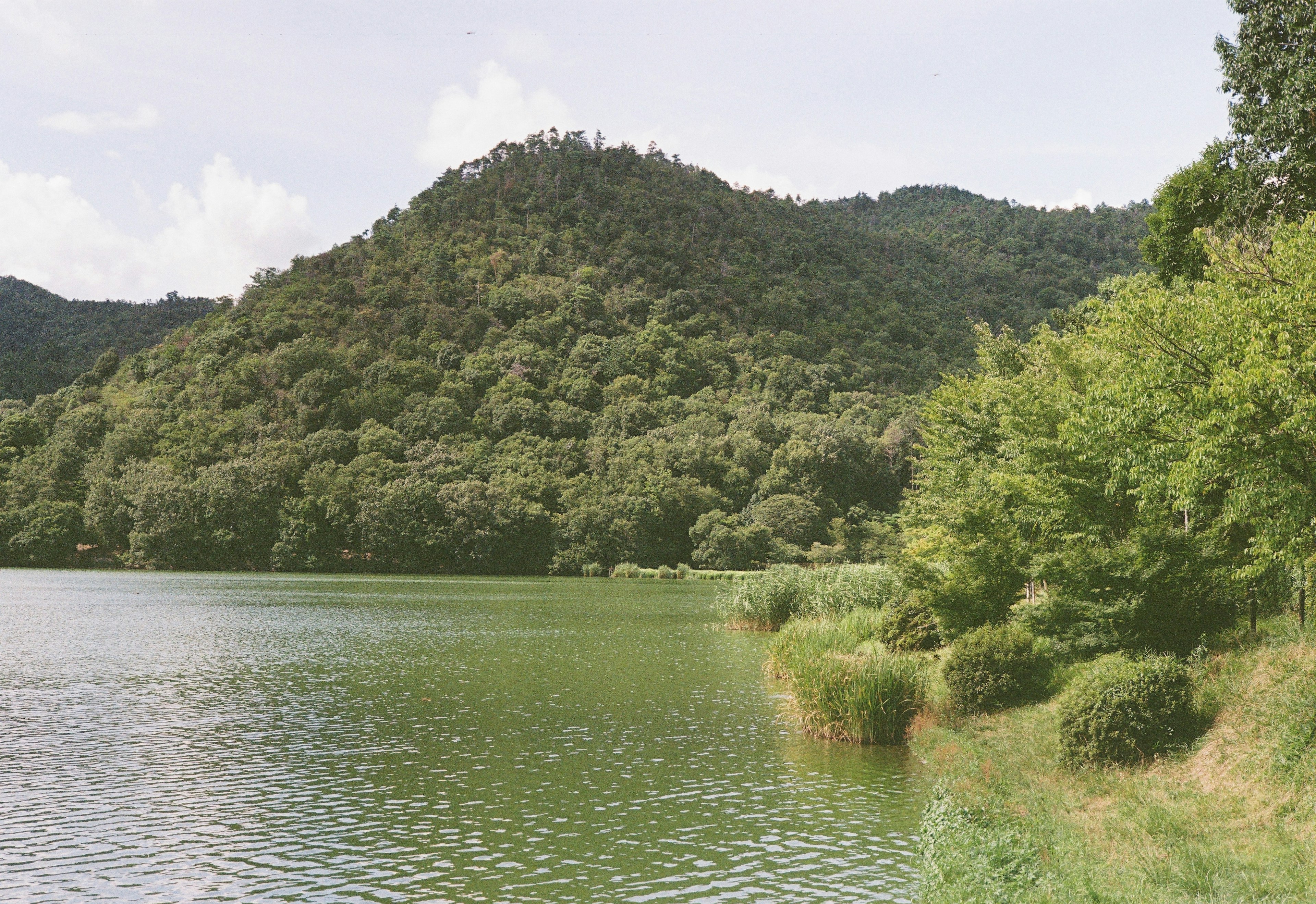 Danau tenang dengan bukit hijau subur di latar belakang