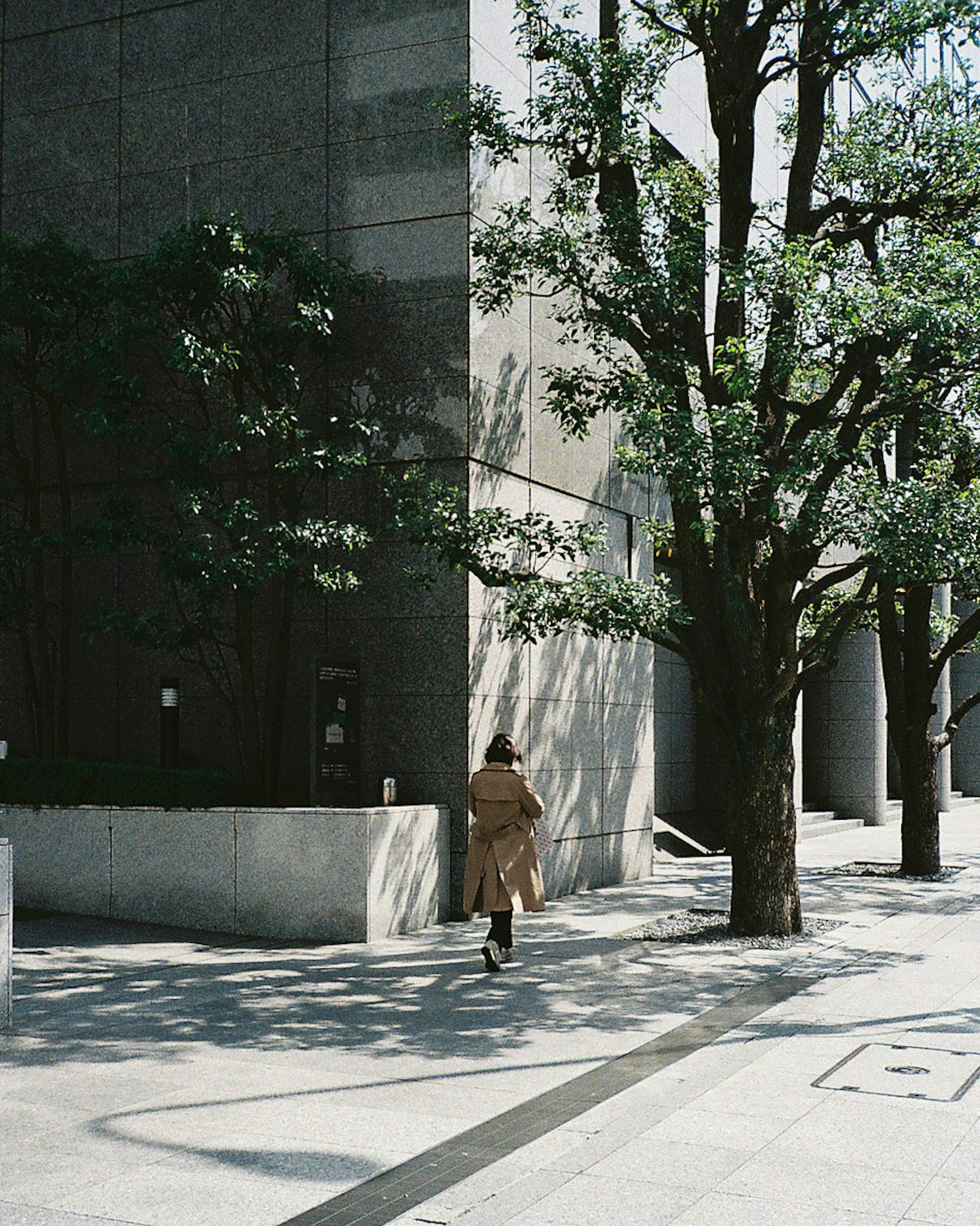 女性が大きな木のそばを歩いている都会の風景