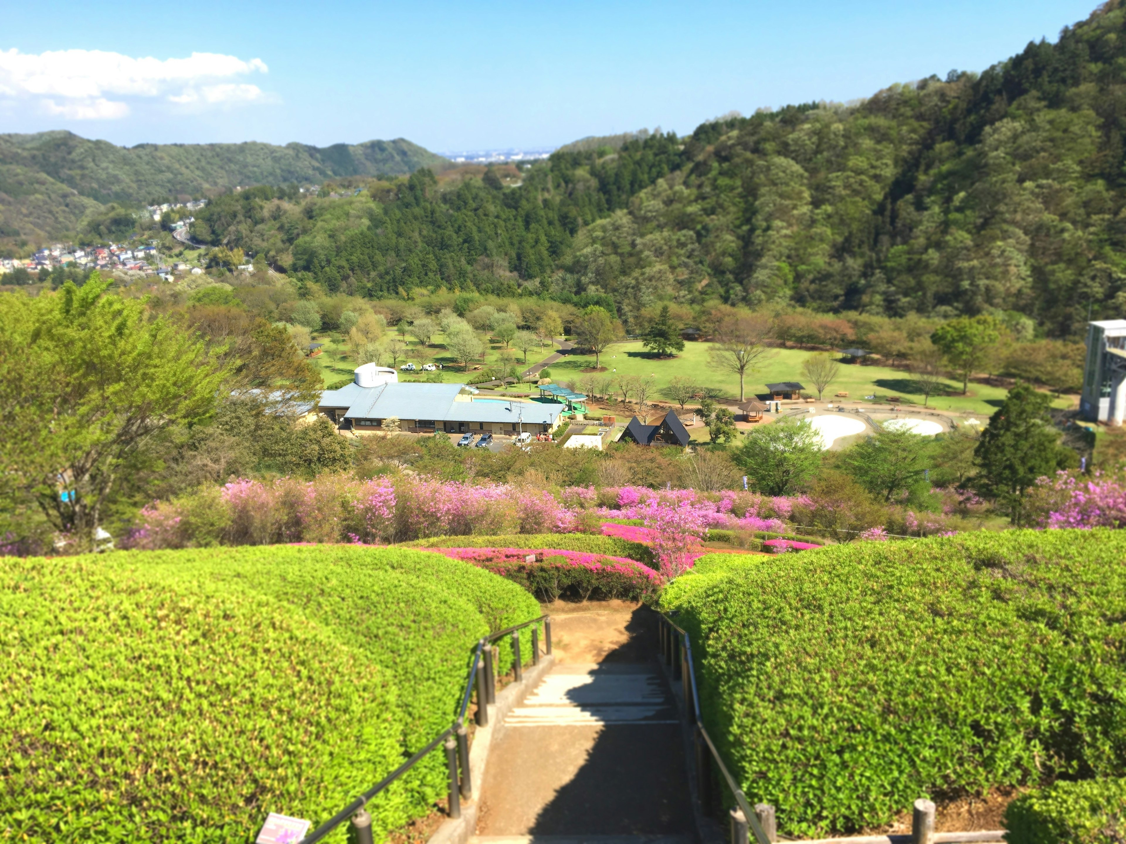 山に囲まれた美しい庭園の風景 緑の植栽と色とりどりの花々が広がる