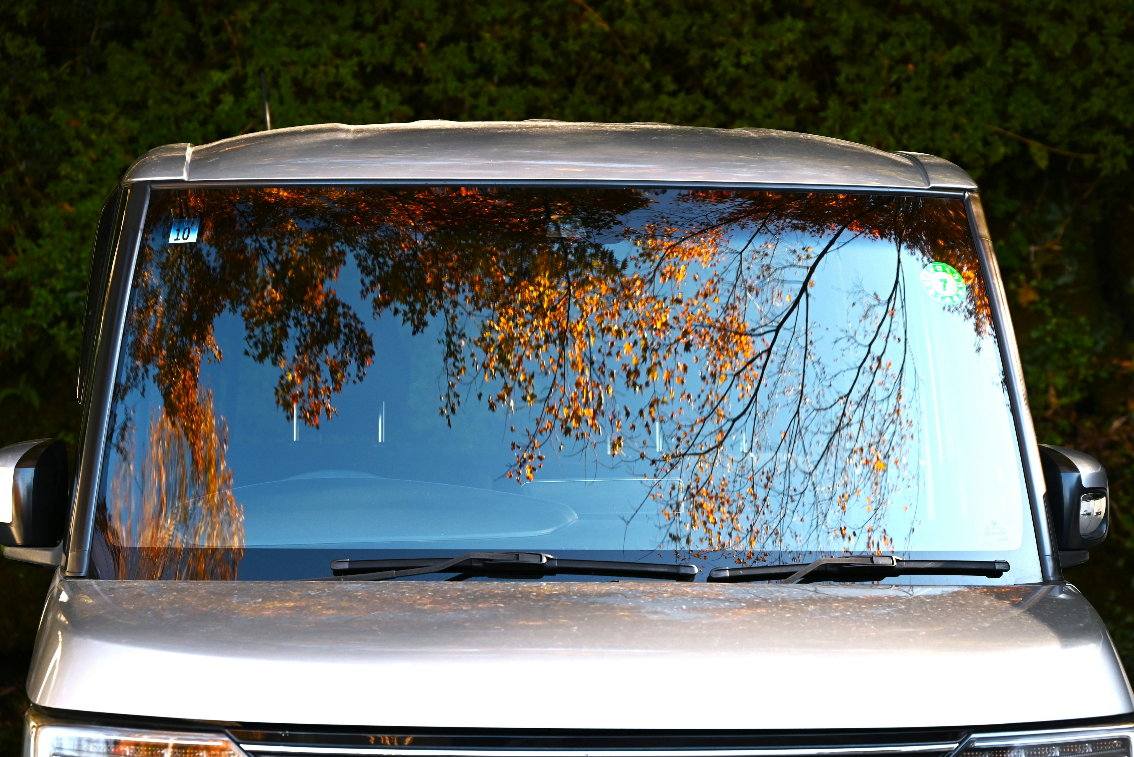 Reflejo de árboles de otoño en el parabrisas de un vehículo plateado