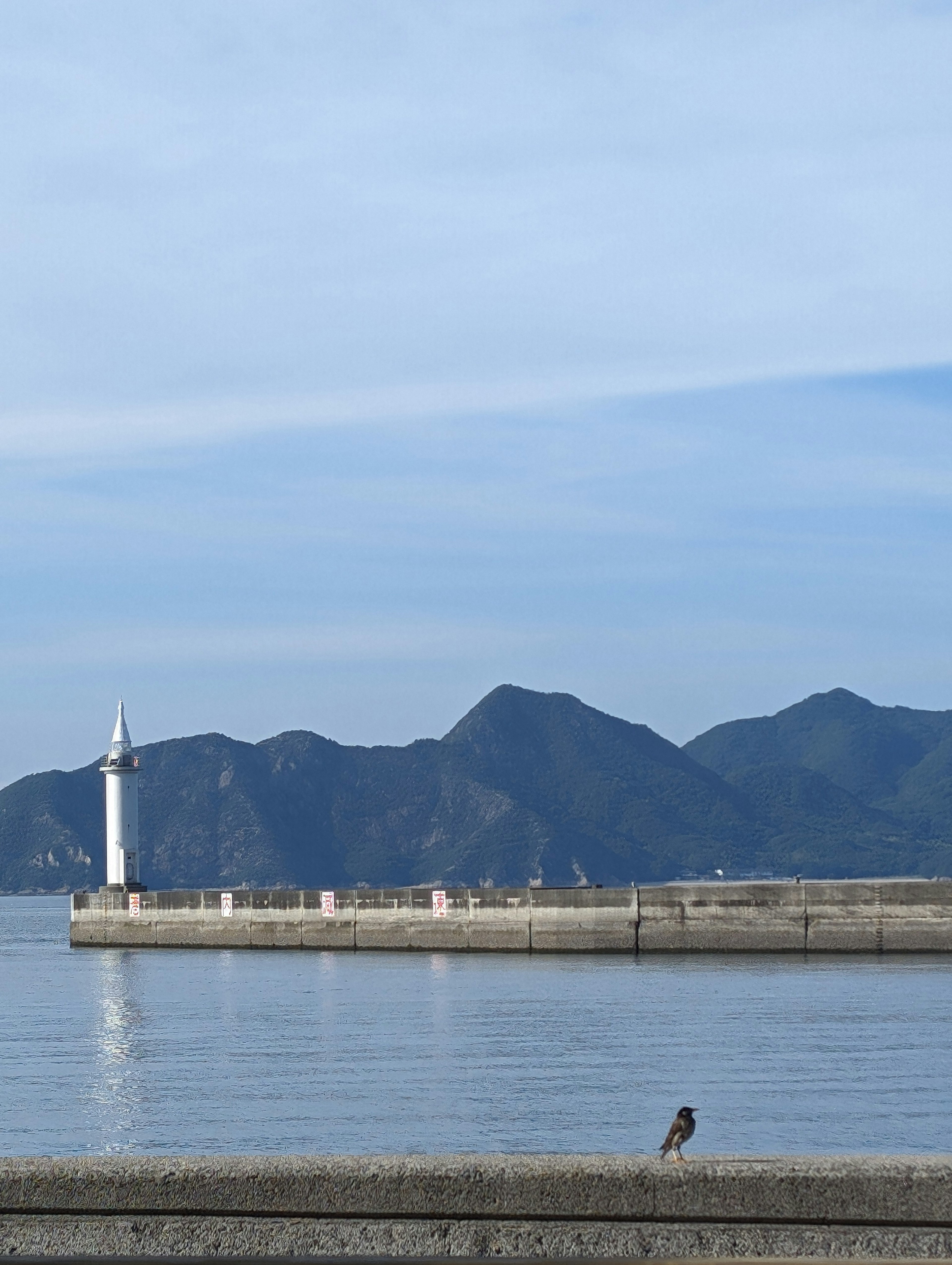 海岸上的灯塔与宁静的水面风景