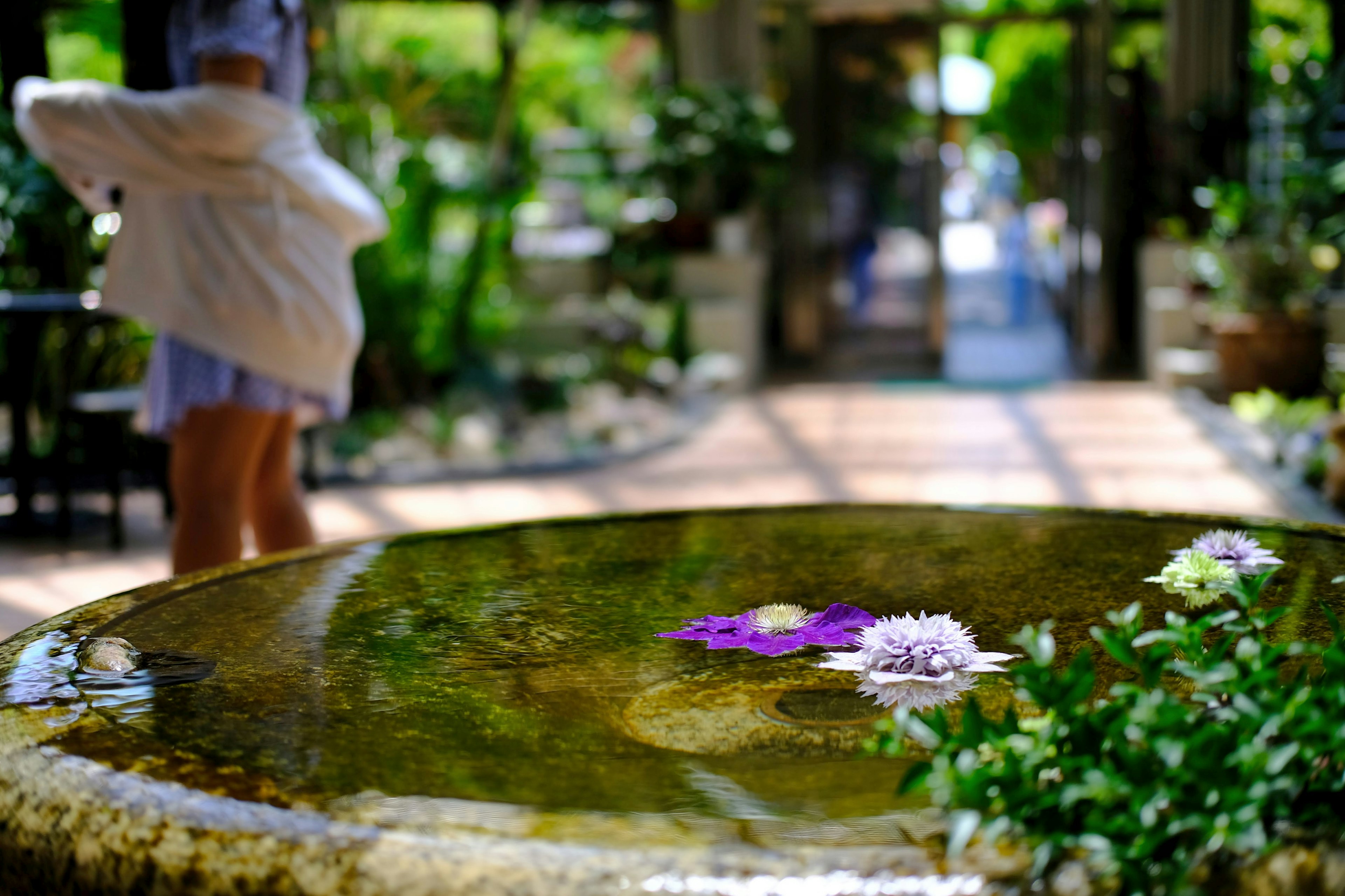 ทิวทัศน์สวนที่เงียบสงบพร้อมอ่างหินและดอกไม้ลอยน้ำ