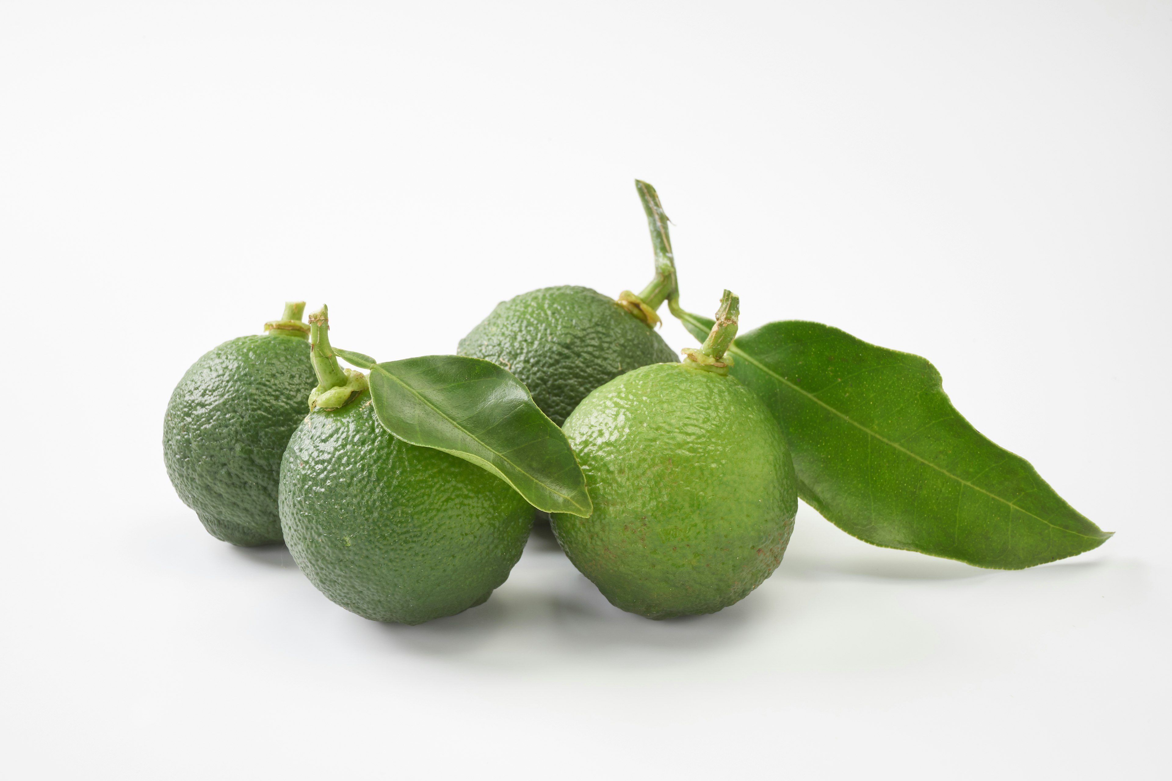 Avocadi verdi con foglie disposti insieme