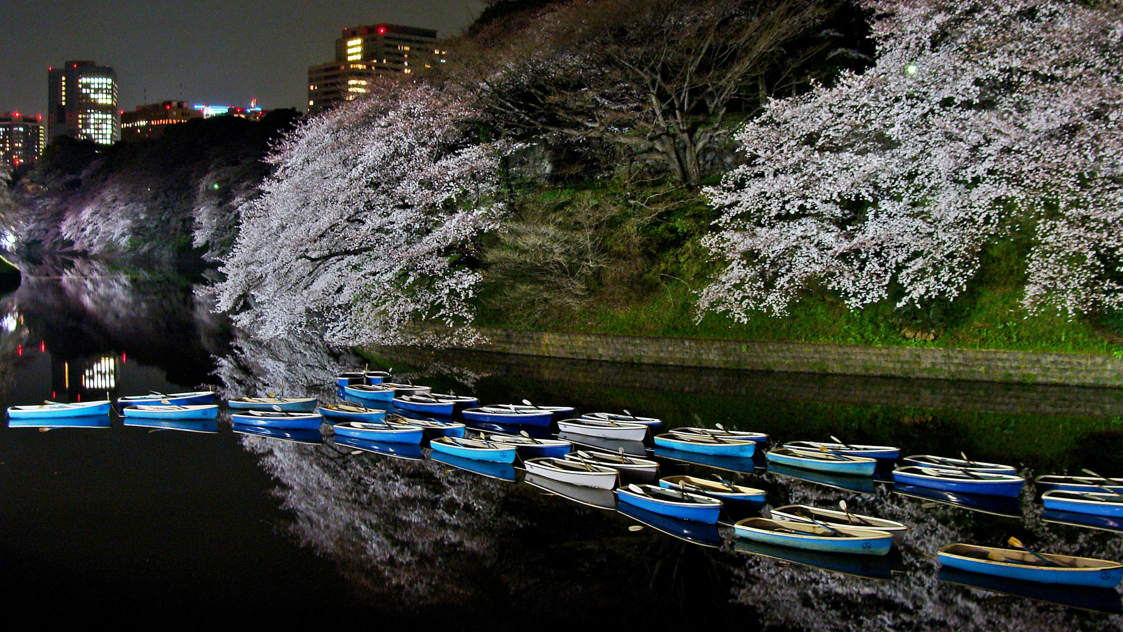 Vista nocturna de los cerezos en flor y barcos