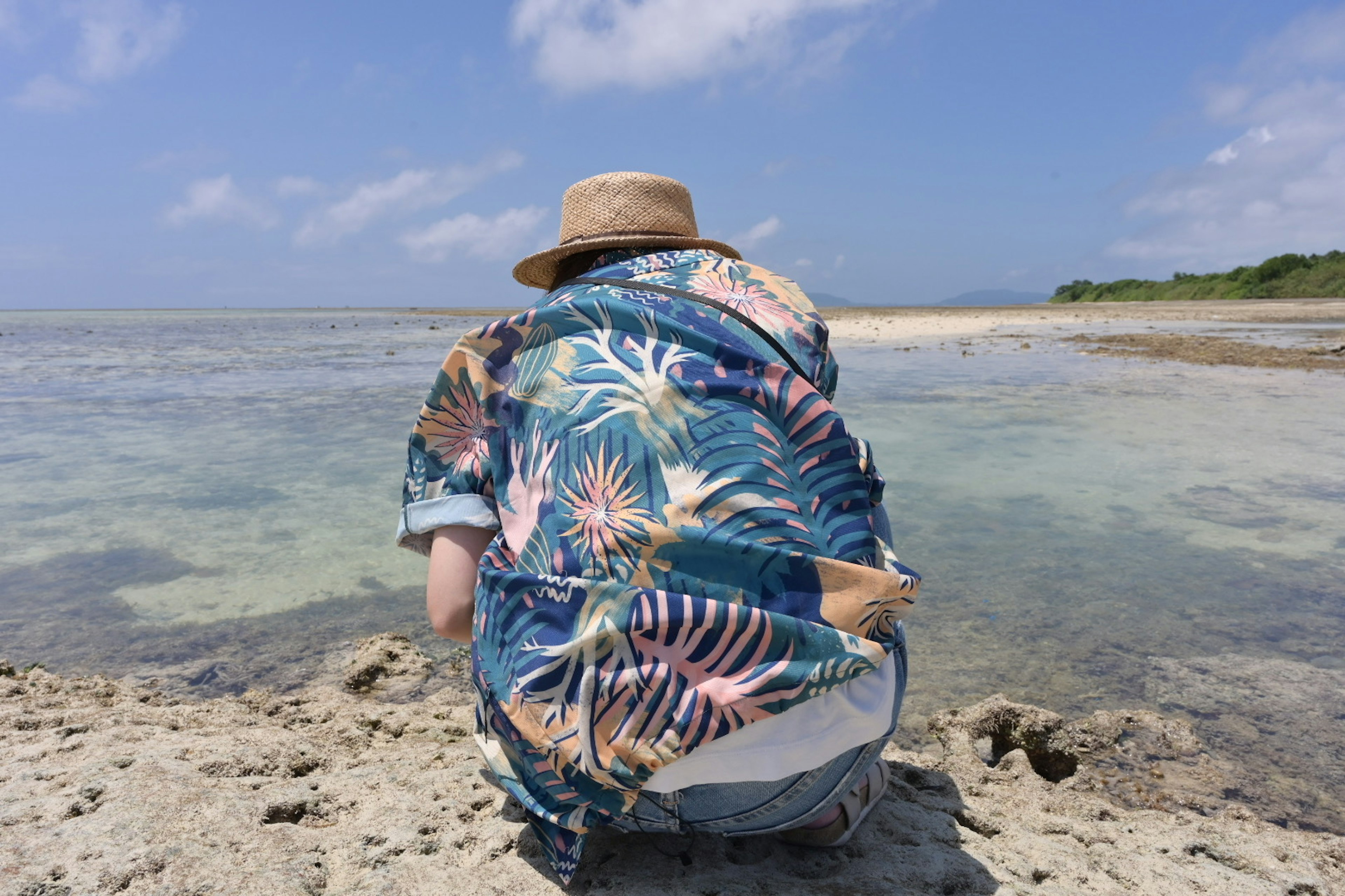 海辺でしゃがむ人物の後ろ姿、カラフルなシャツと帽子を着用