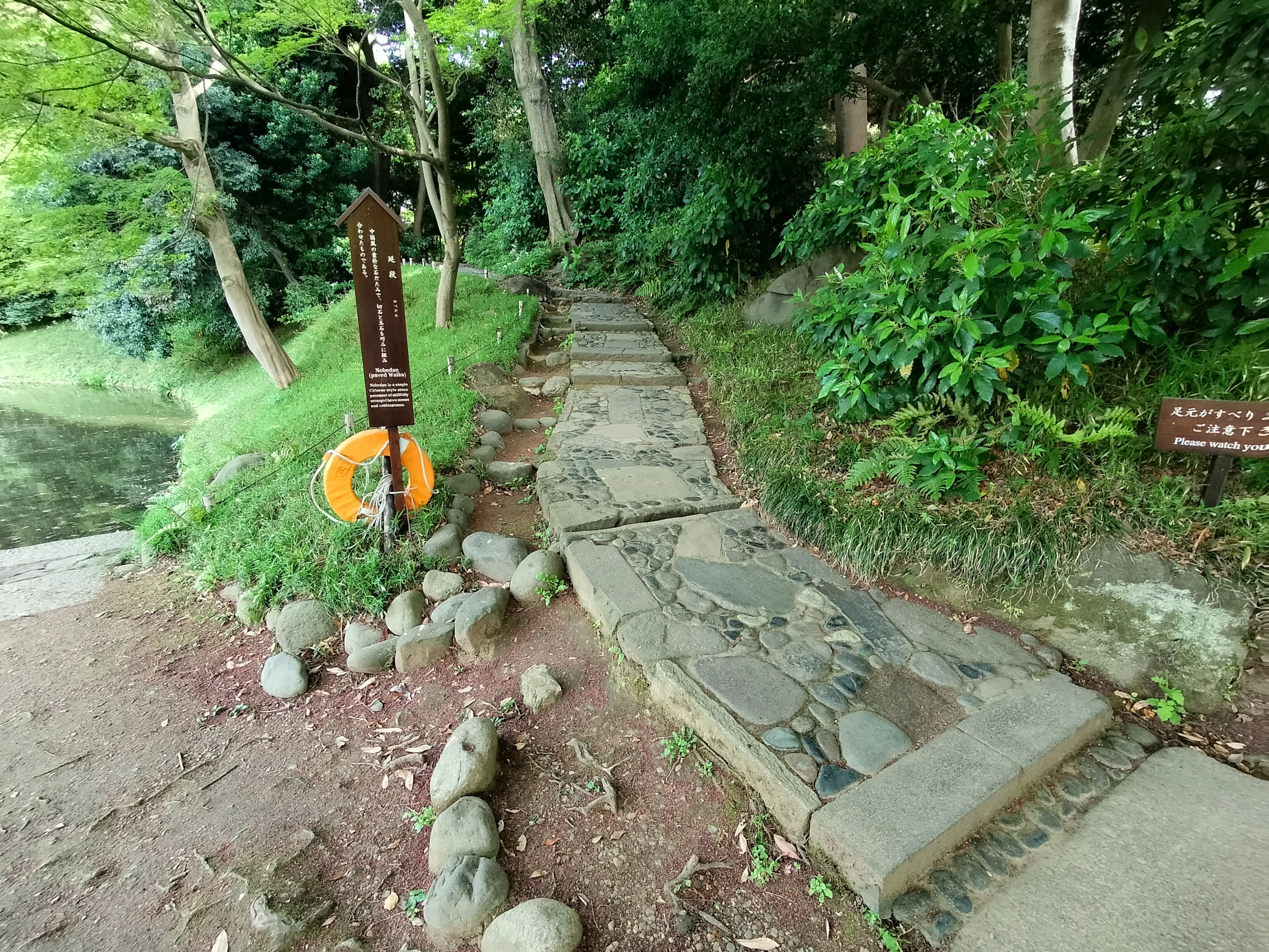 Un camino sereno en un parque con pavimento de piedra rodeado de exuberante vegetación