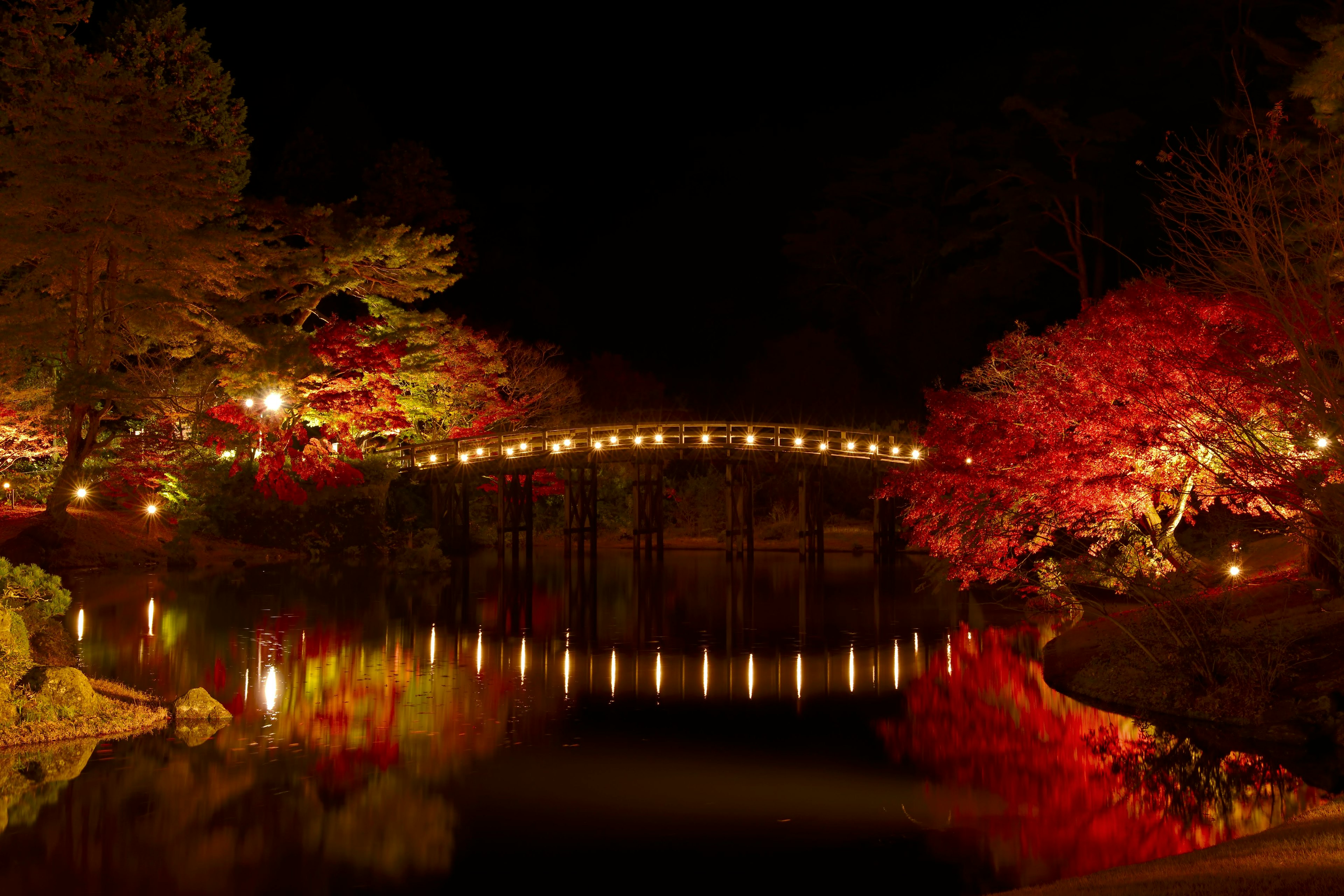 Un bel ponte illuminato su uno stagno del giardino circondato da foglie autunnali di notte