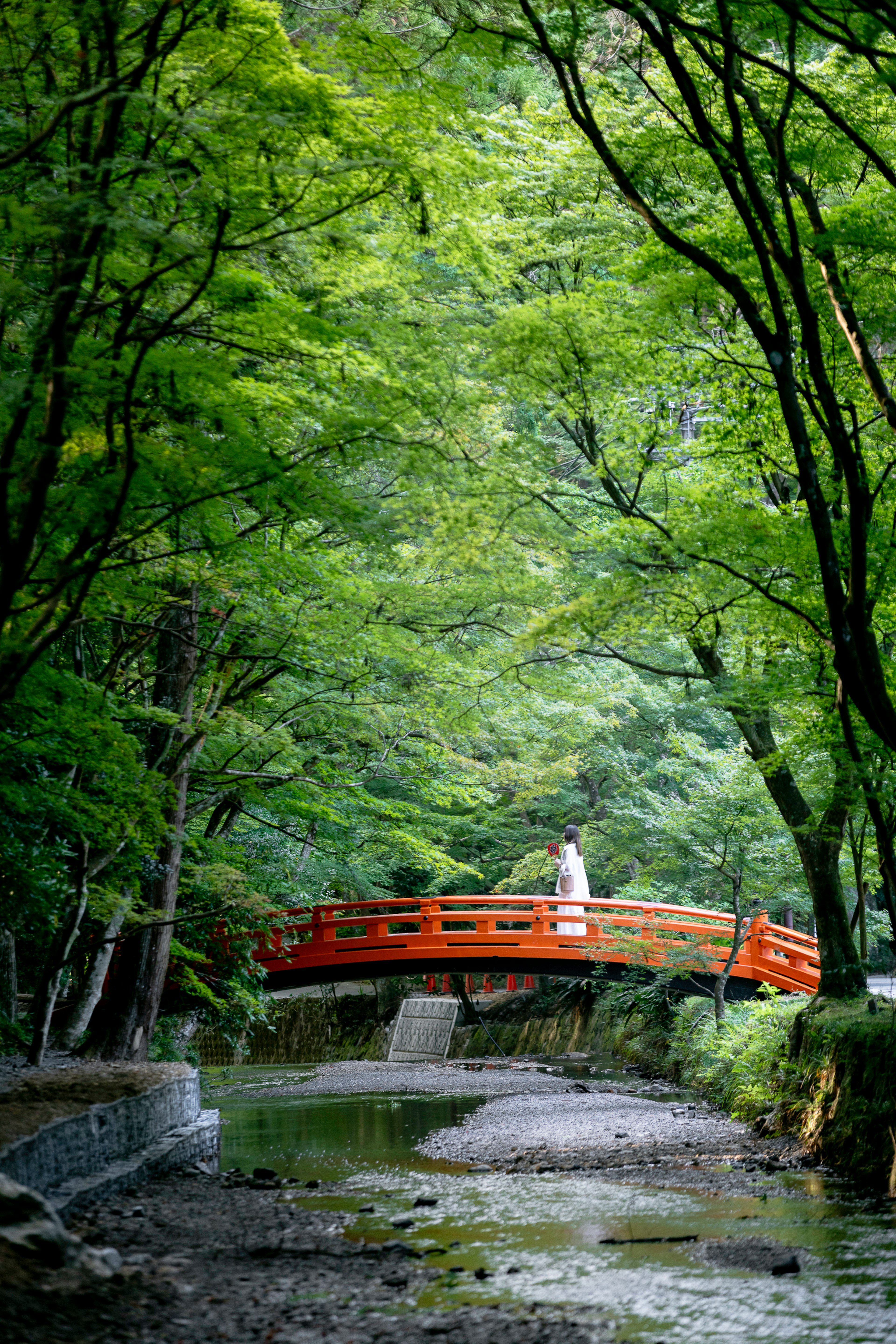 A person standing on a red bridge surrounded by lush green trees