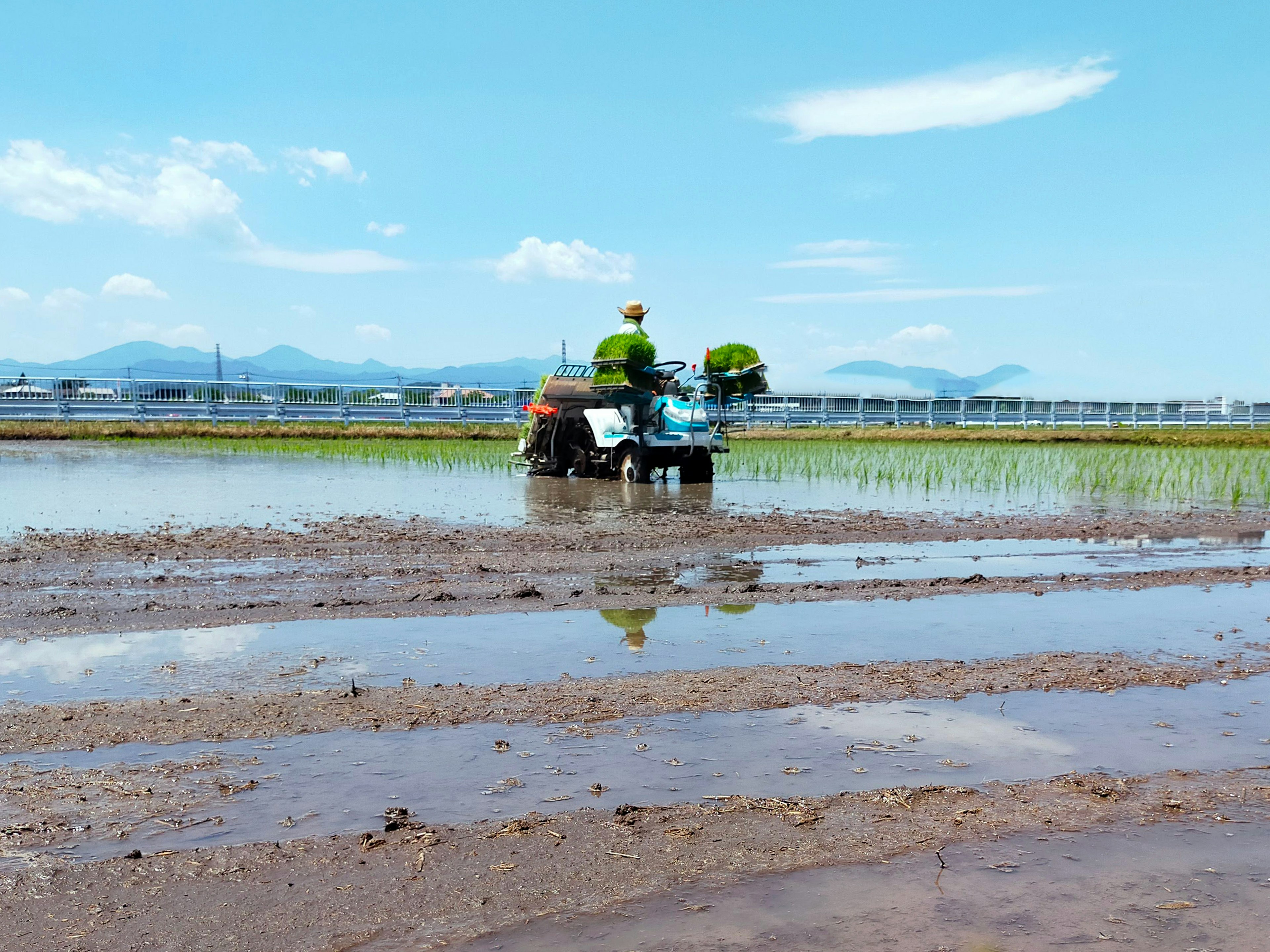 Un tractor plantando arroz en un campo de arroz inundado bajo un cielo azul claro