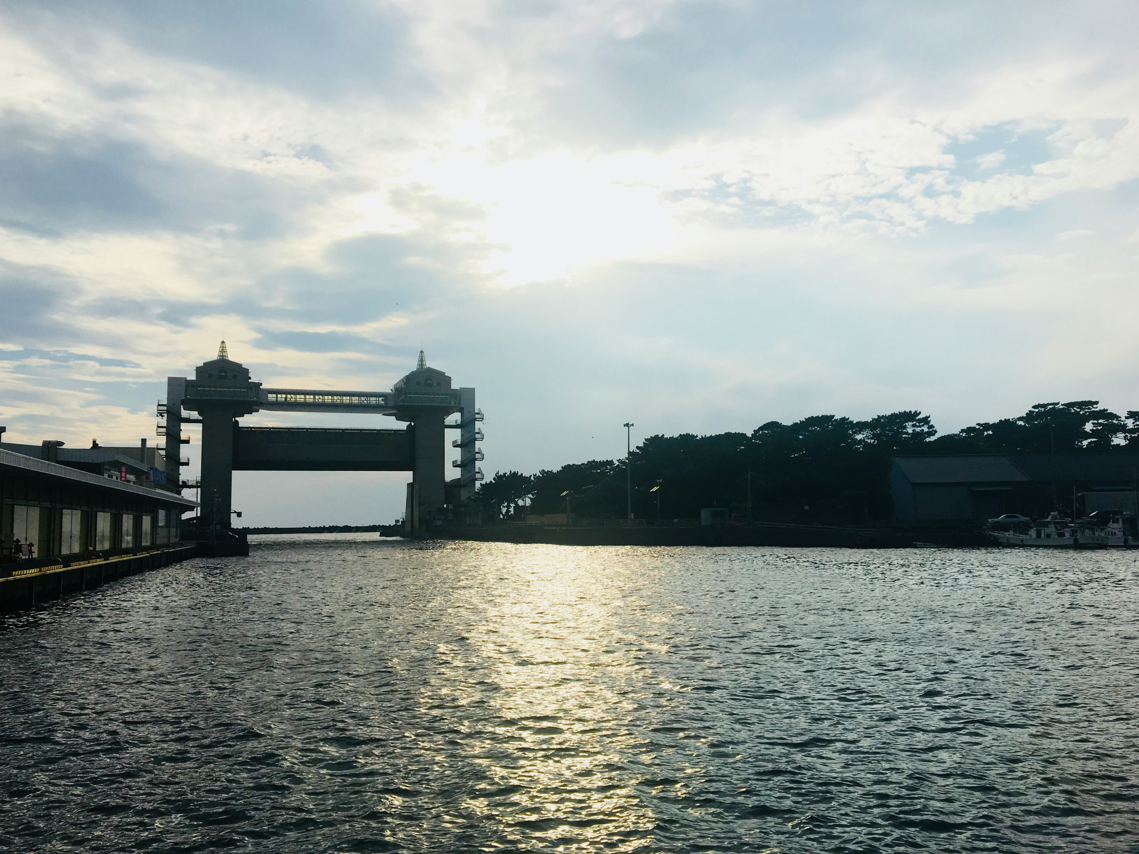 海に架かる現代的な橋と建物が見える風景