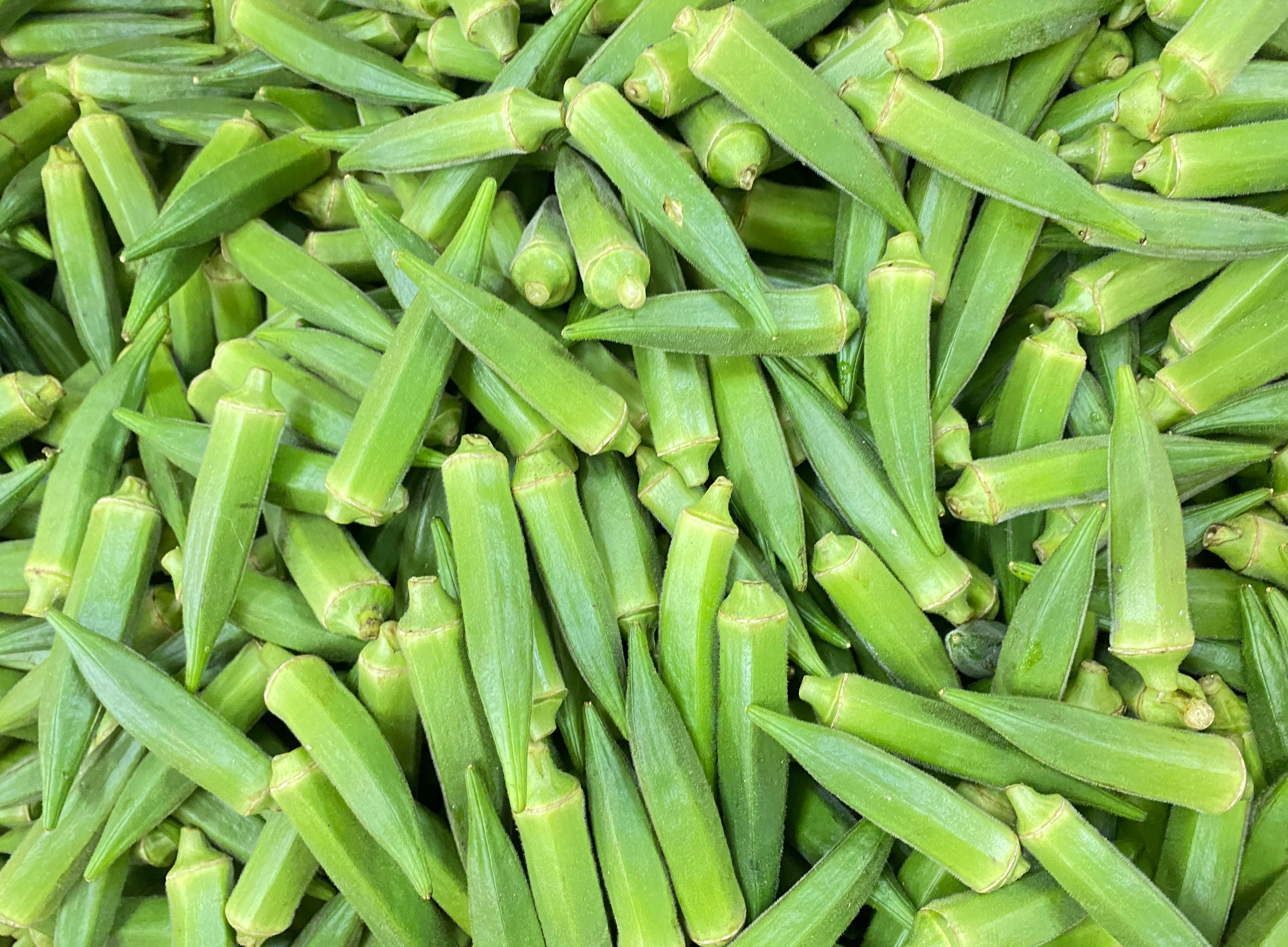 Frische Okra-Schoten übereinander gestapelt