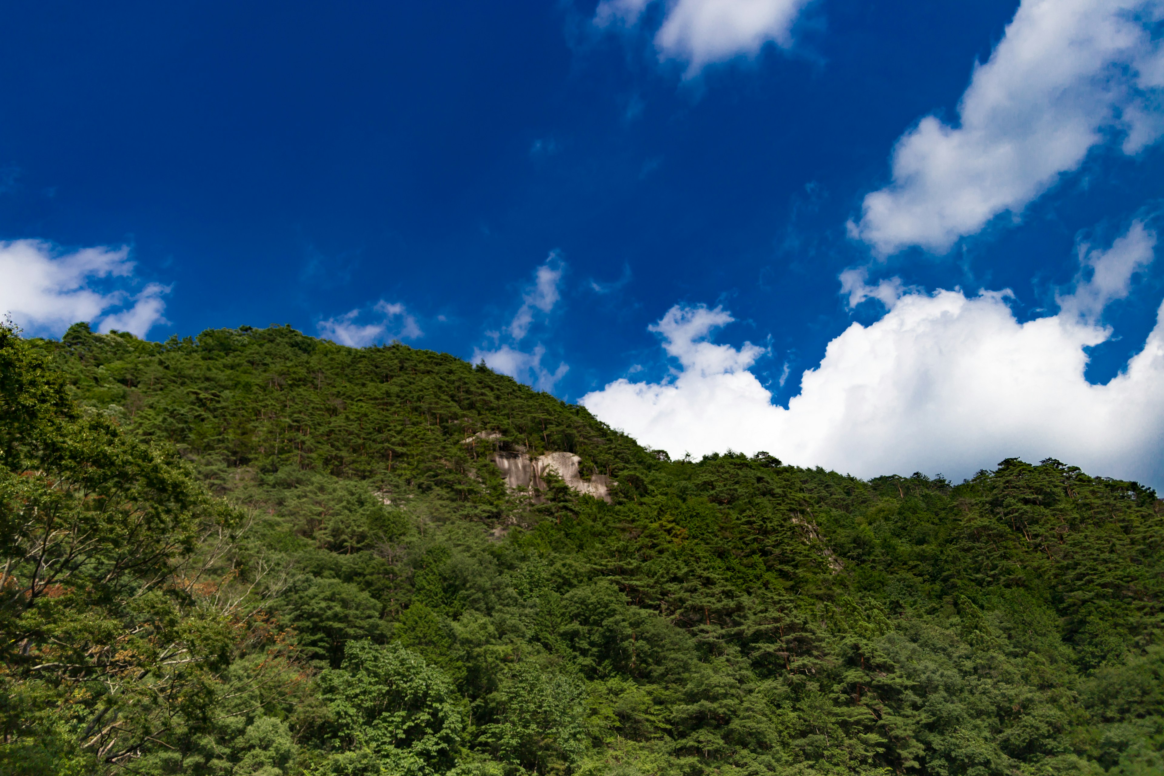 Üppiger grüner Hang unter einem strahlend blauen Himmel mit weißen Wolken