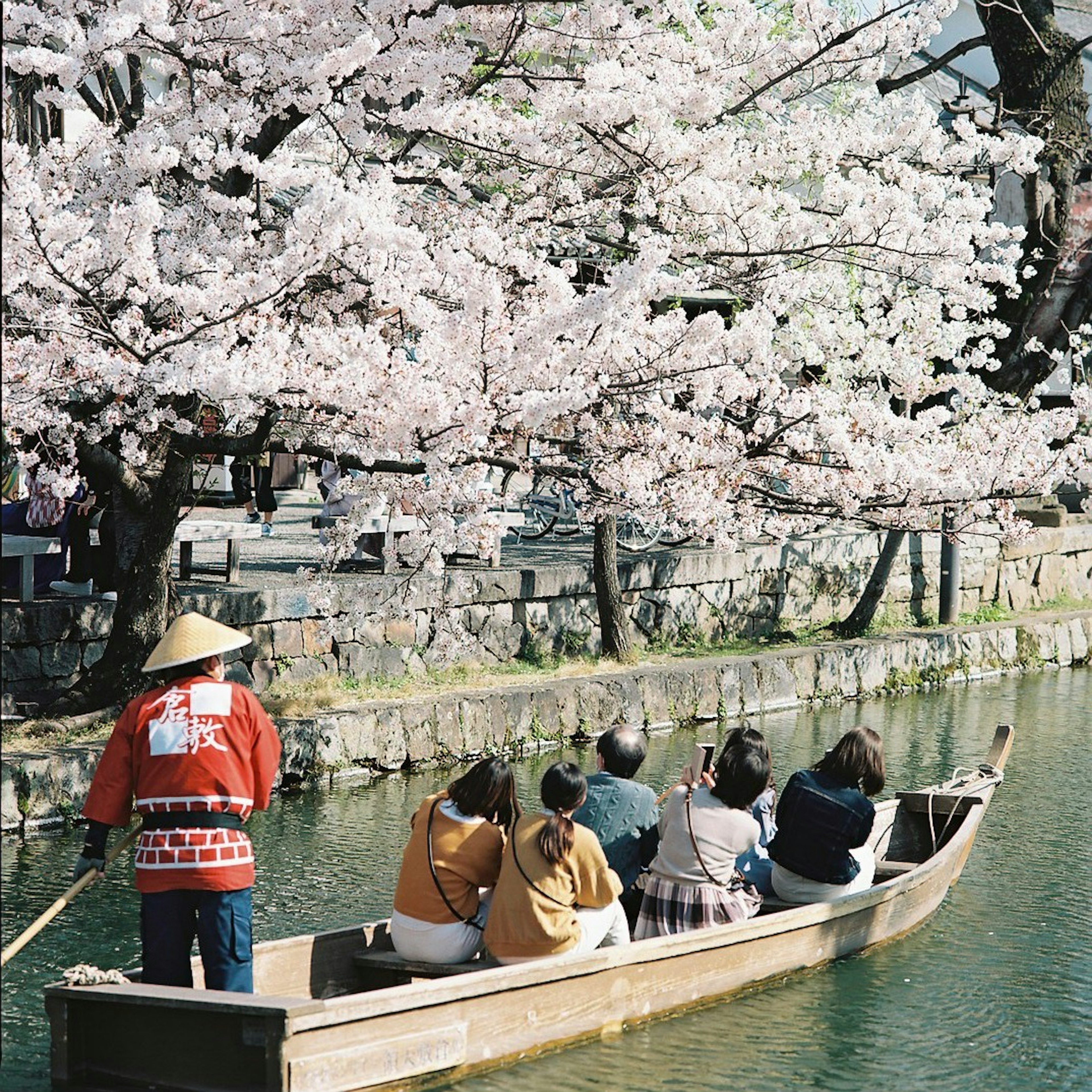 Des personnes dans un bateau sous des cerisiers en fleurs