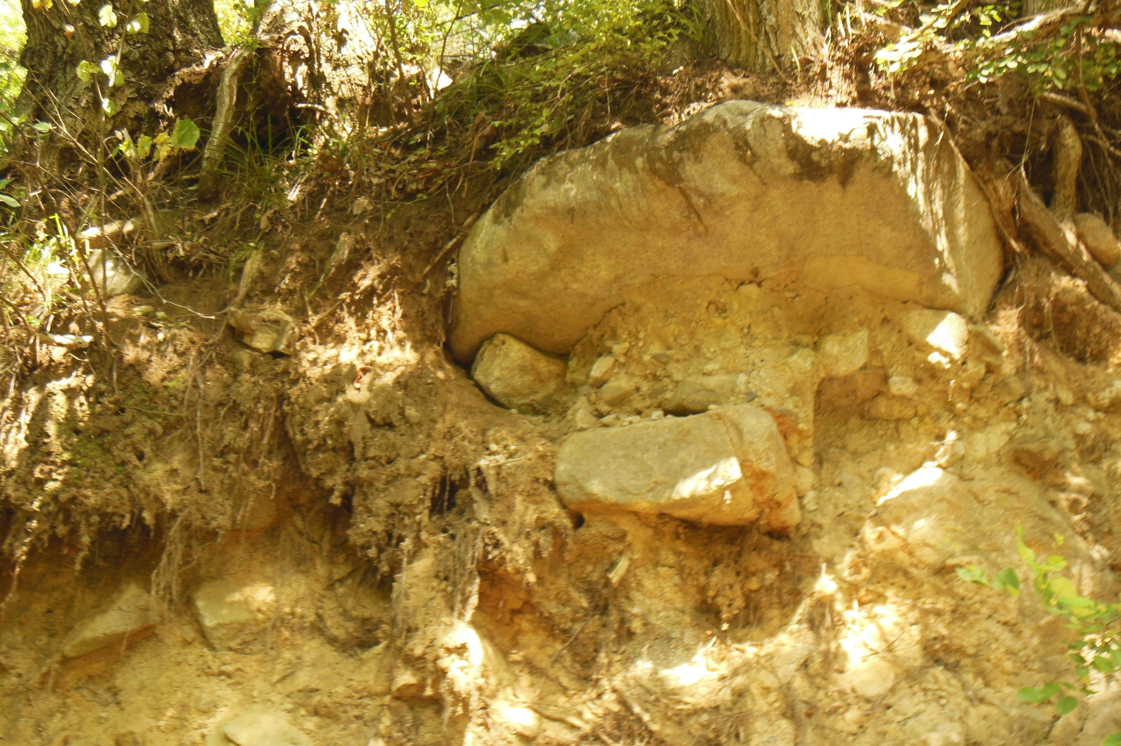 Partially buried rock with surrounding greenery in the soil