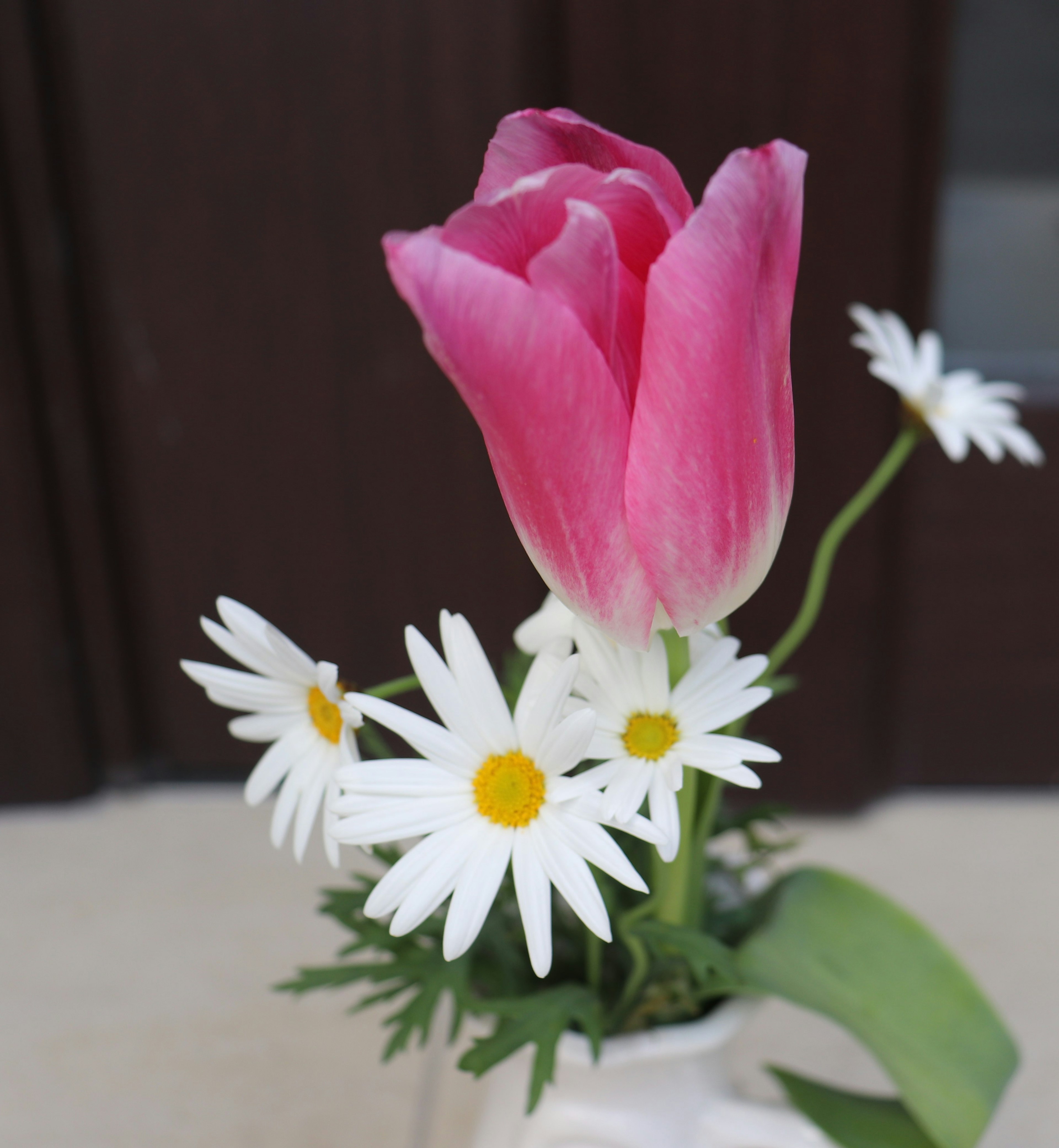 Ein Strauß mit einer rosa Tulpe und weißen Gänseblümchen