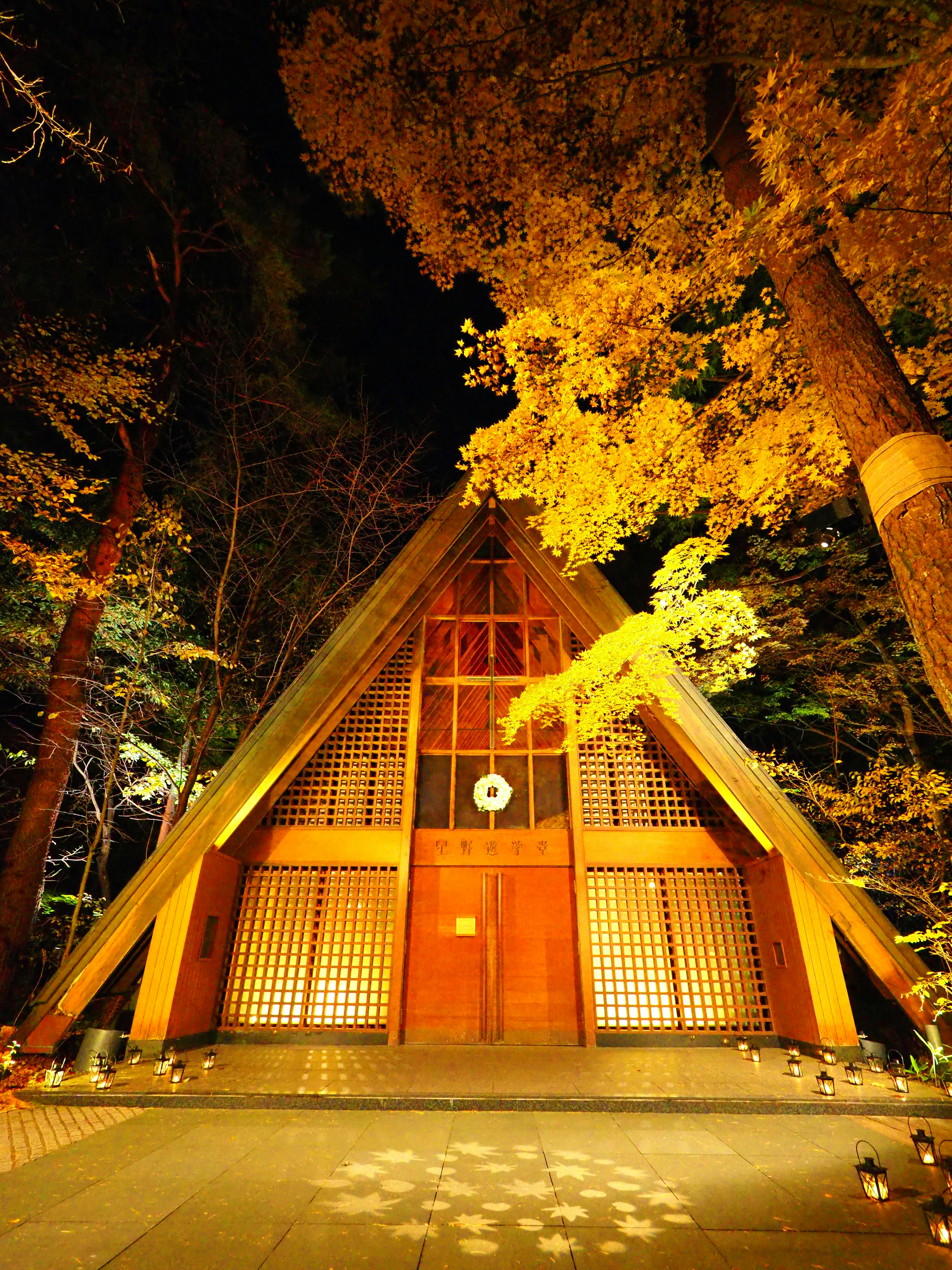 Un edificio triangolare illuminato di notte circondato da alberi