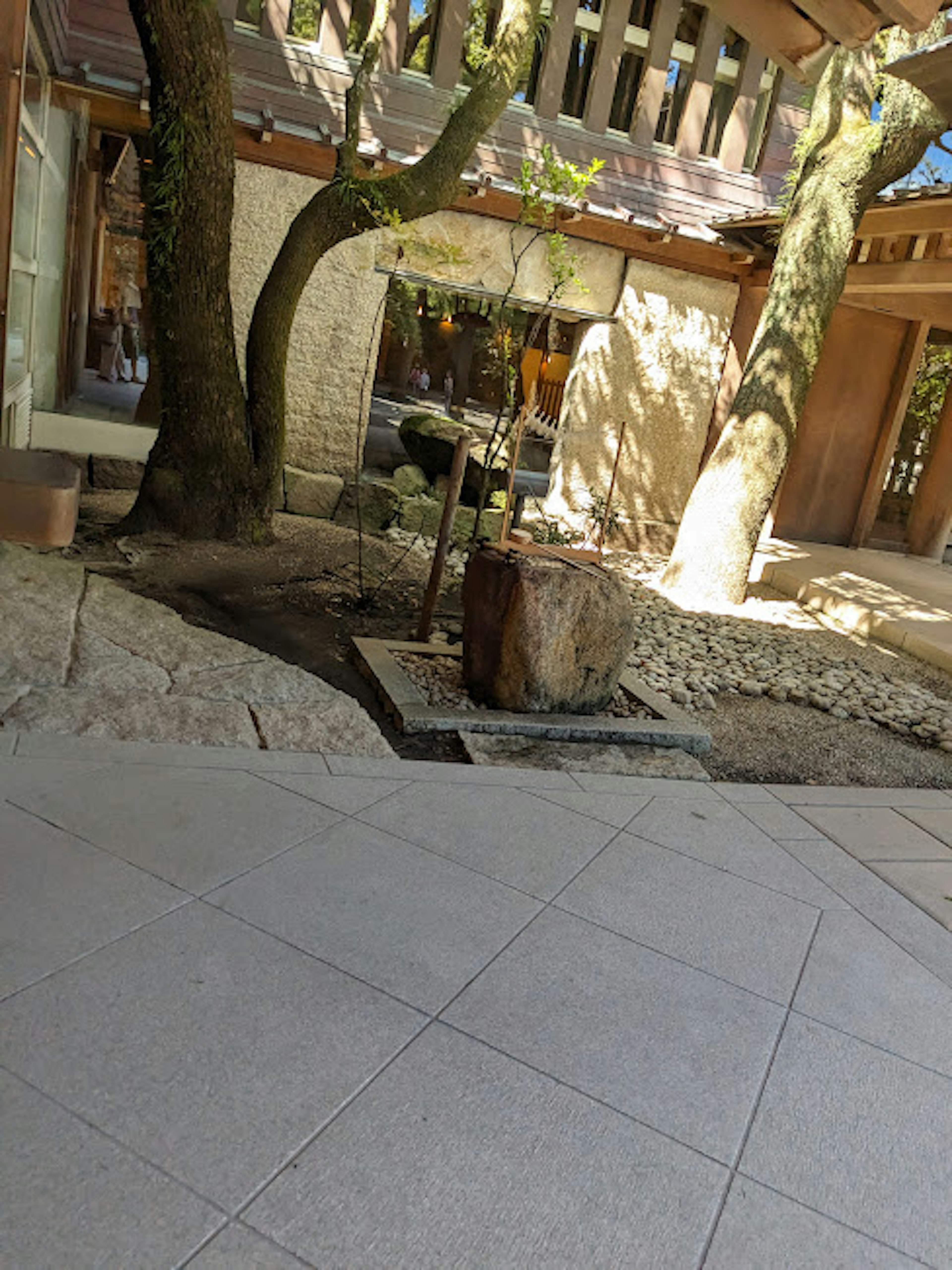 Vista escénica de un jardín con árboles y un camino de piedra