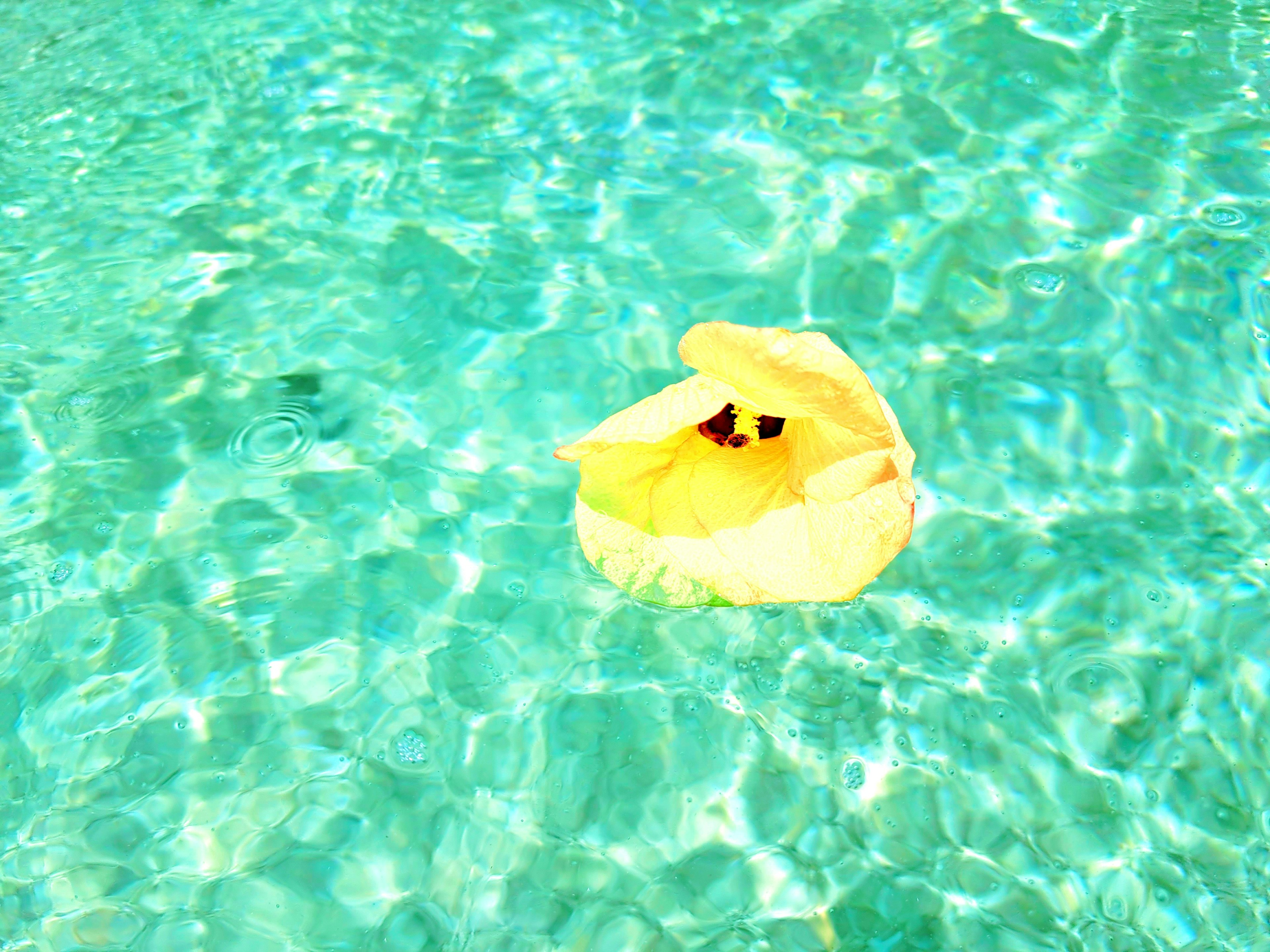 Flotteur jaune sur l'eau turquoise de la piscine