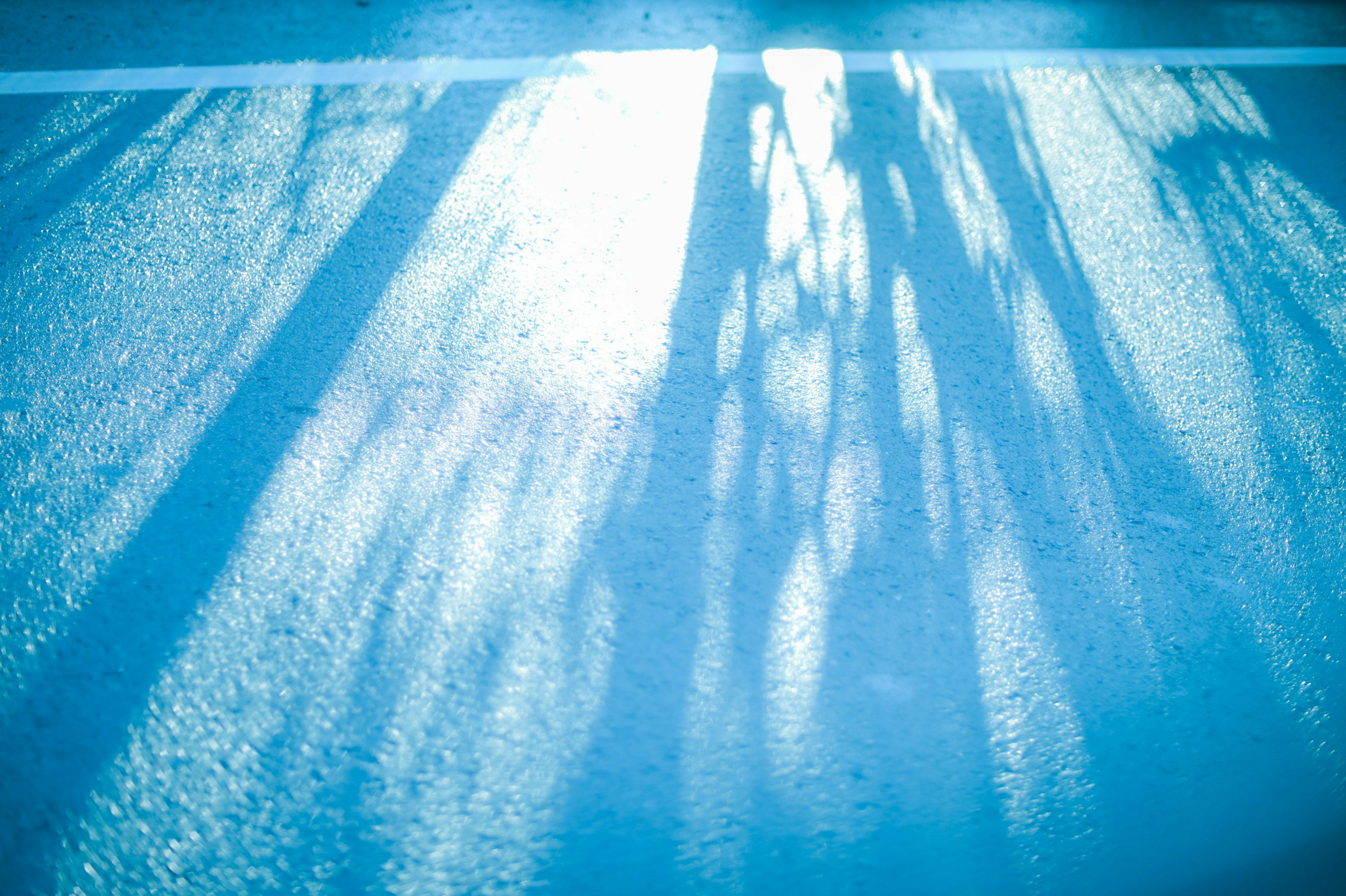 Ombres d'arbres projetées sur une surface bleue avec de la lumière du soleil