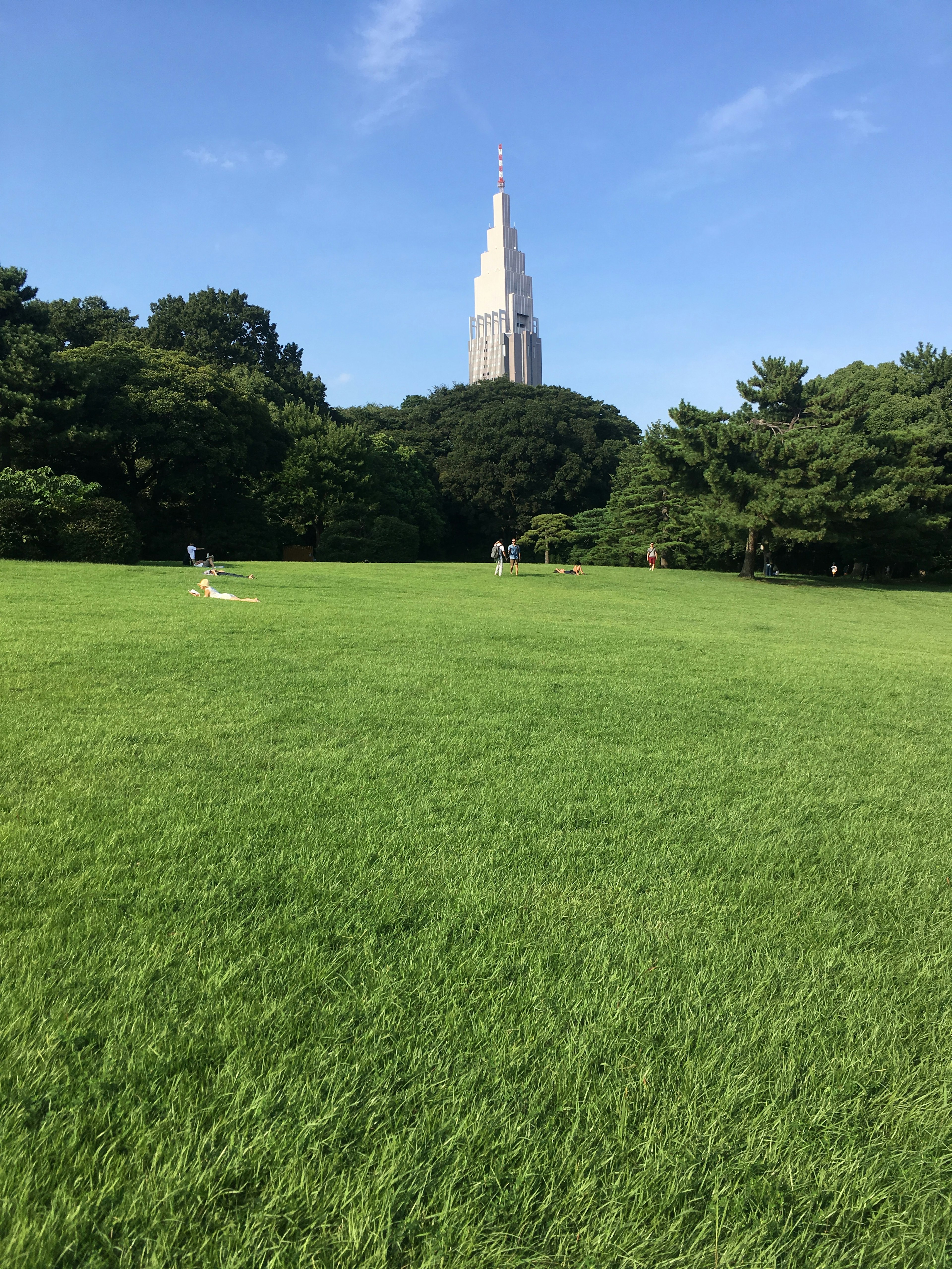 高い塔と緑の草地の風景