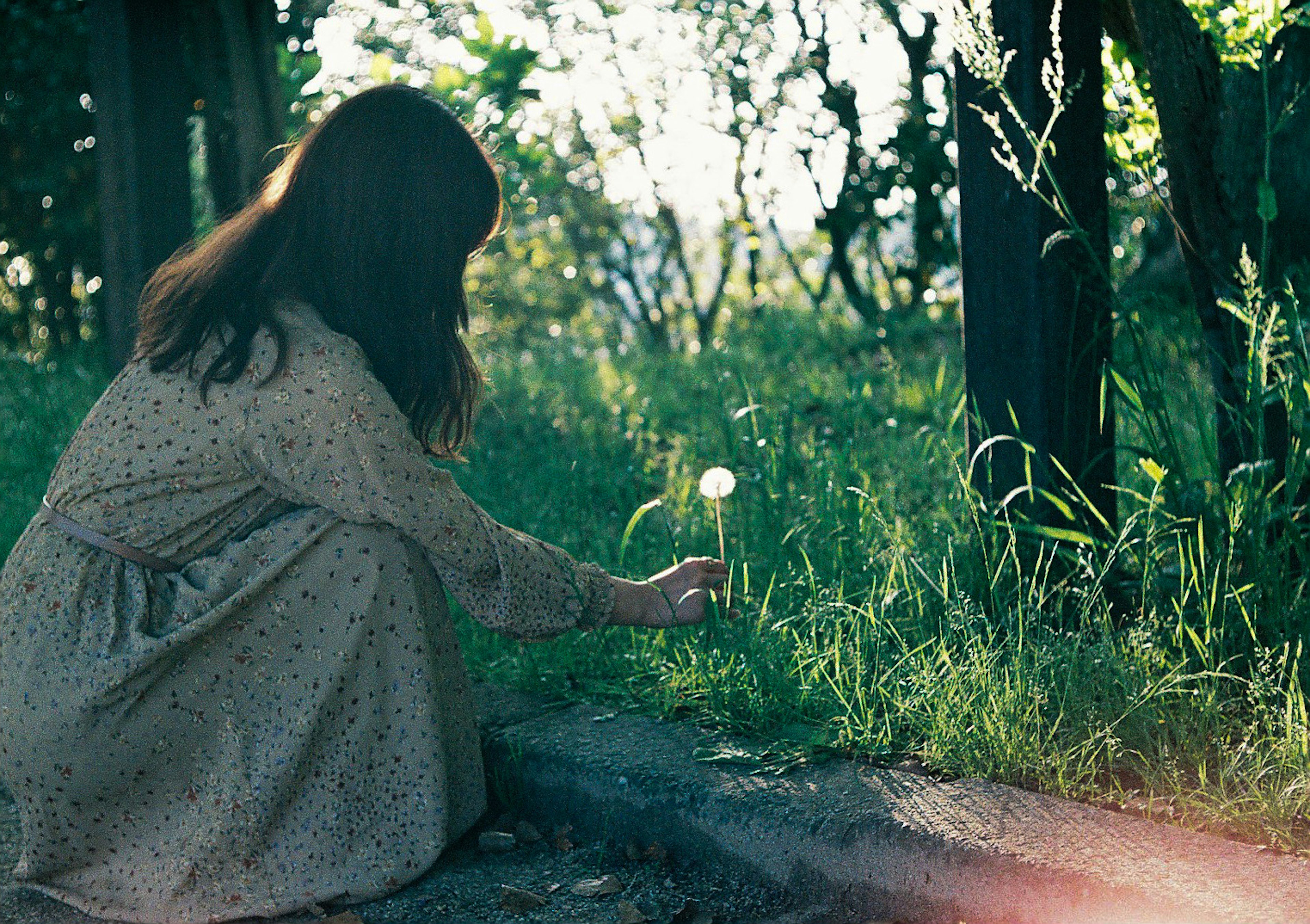 Femme cueillant un pissenlit dans l'herbe