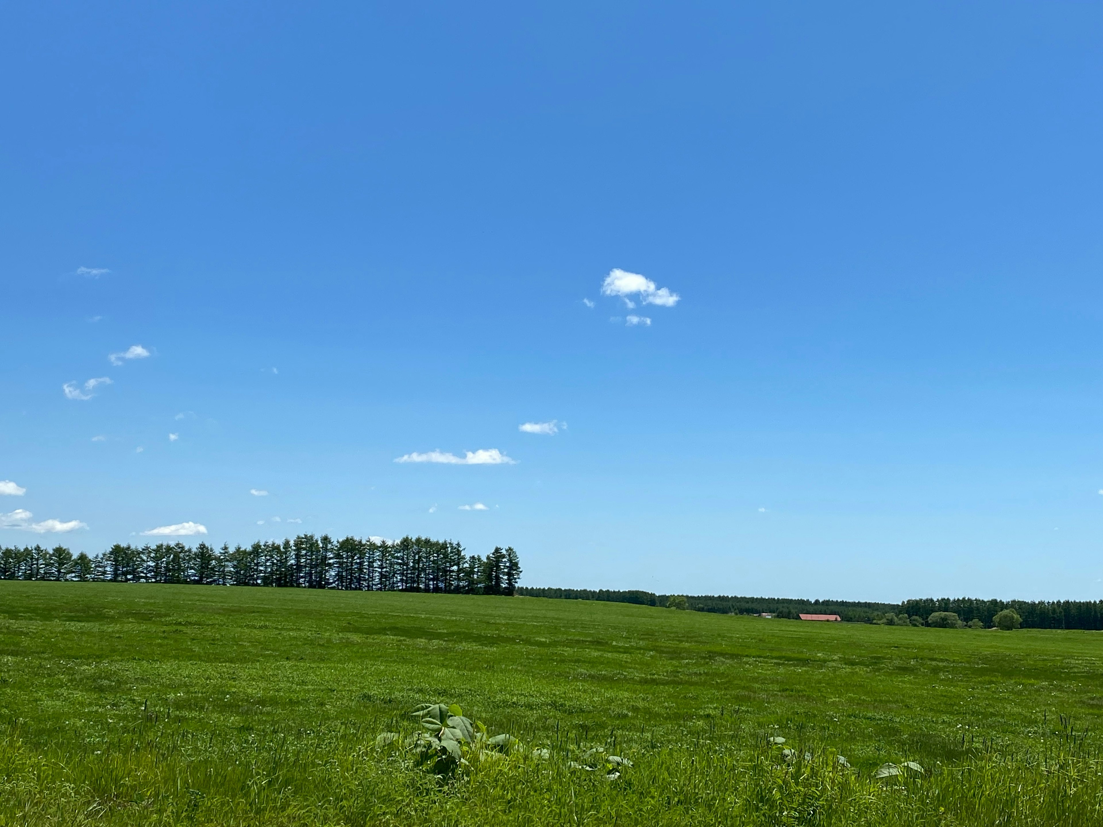 A wide view of green fields under a clear blue sky