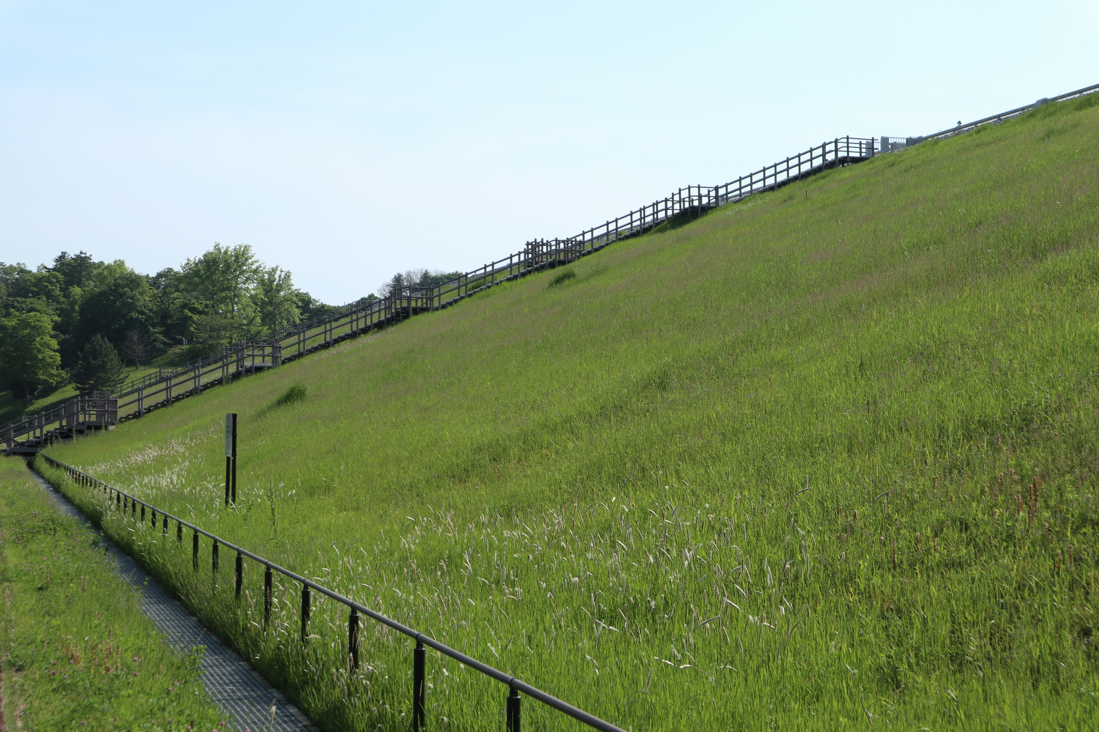 緑の草原と木製フェンスのある丘の風景