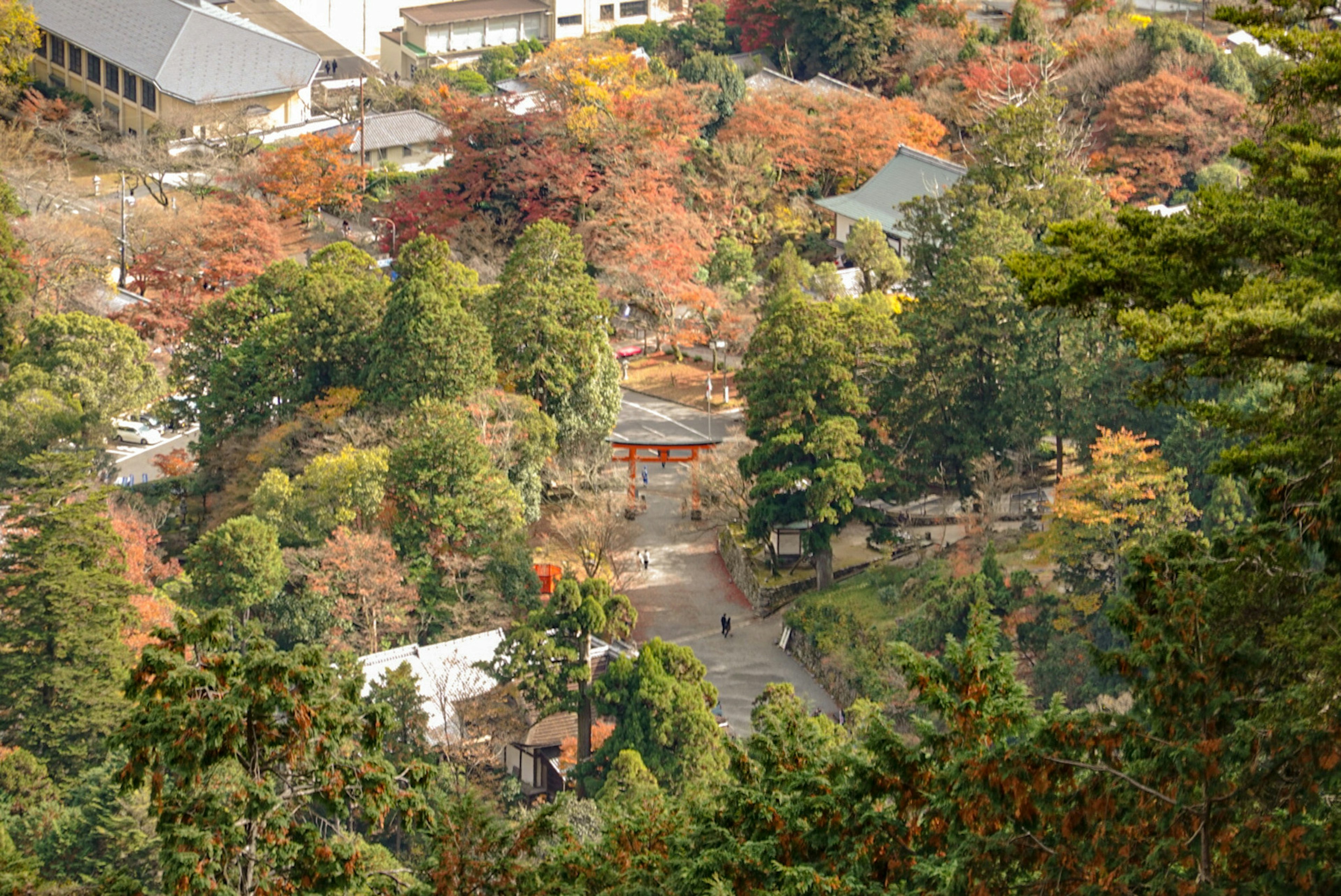 秋天的山景，遍布紅葉，有人走在小路上