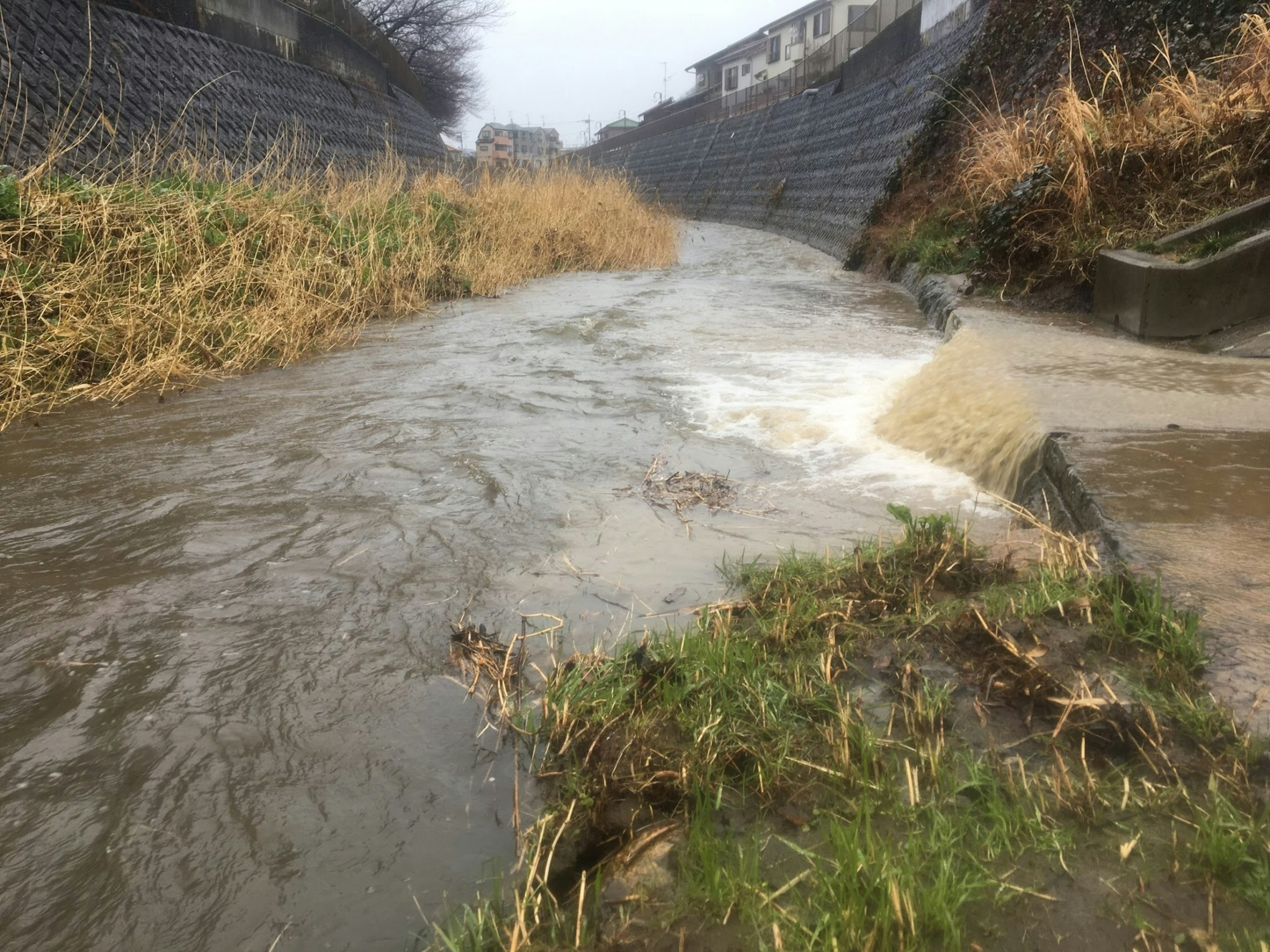 Una scena di fiume con acqua che scorre e sponde erbose