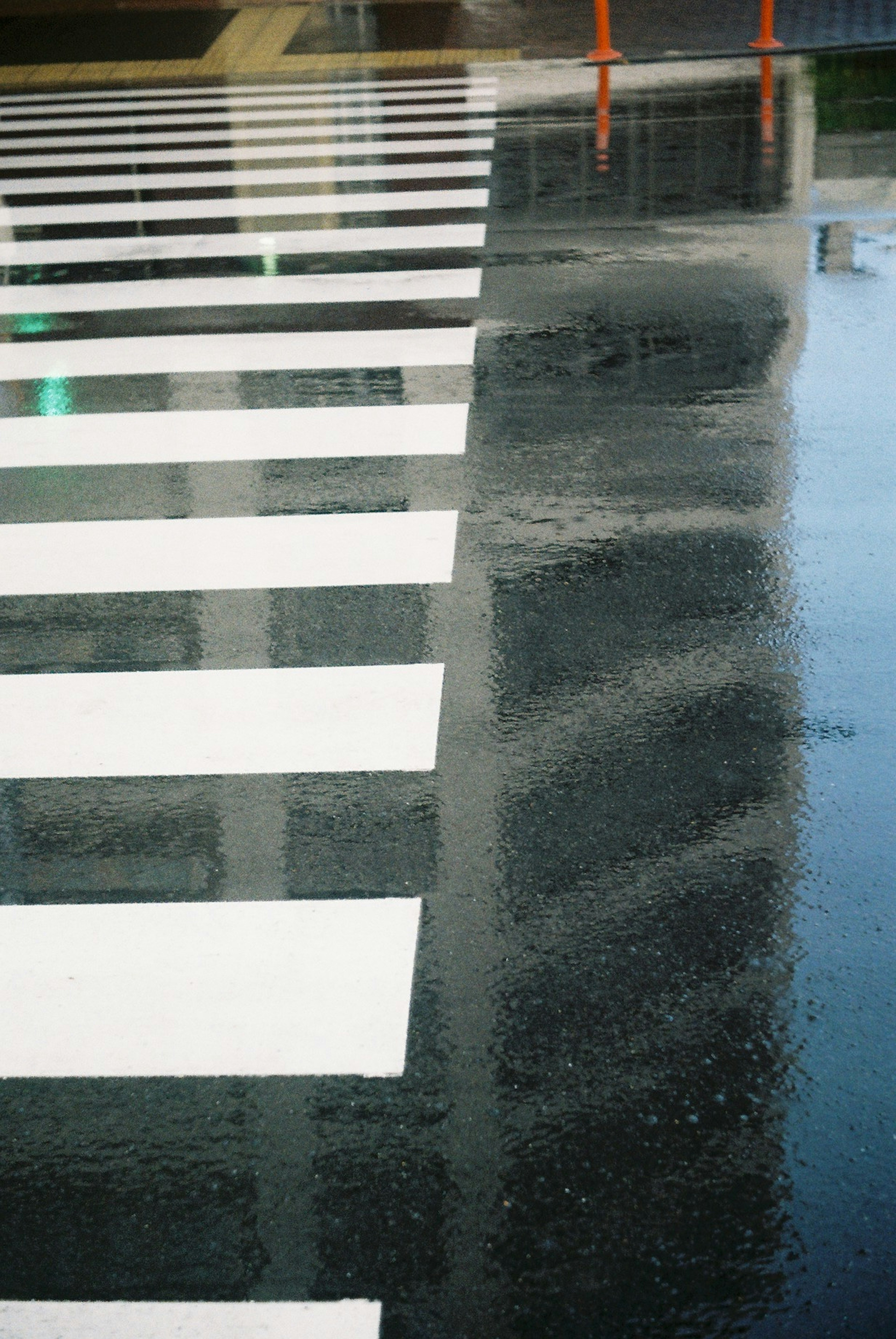 雨に濡れた横断歩道とその反射