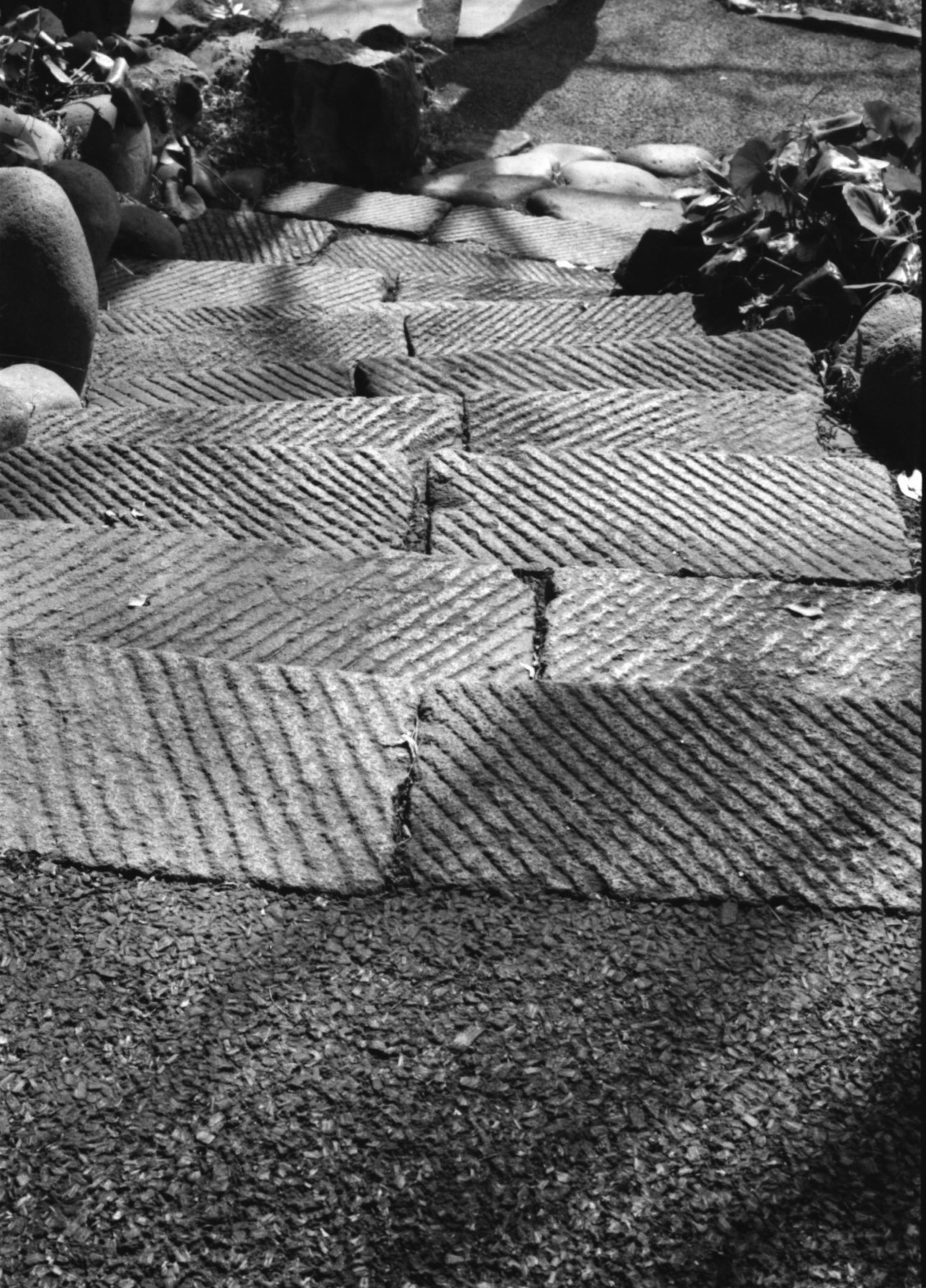 Patterned stone tiles on stairs with surrounding greenery