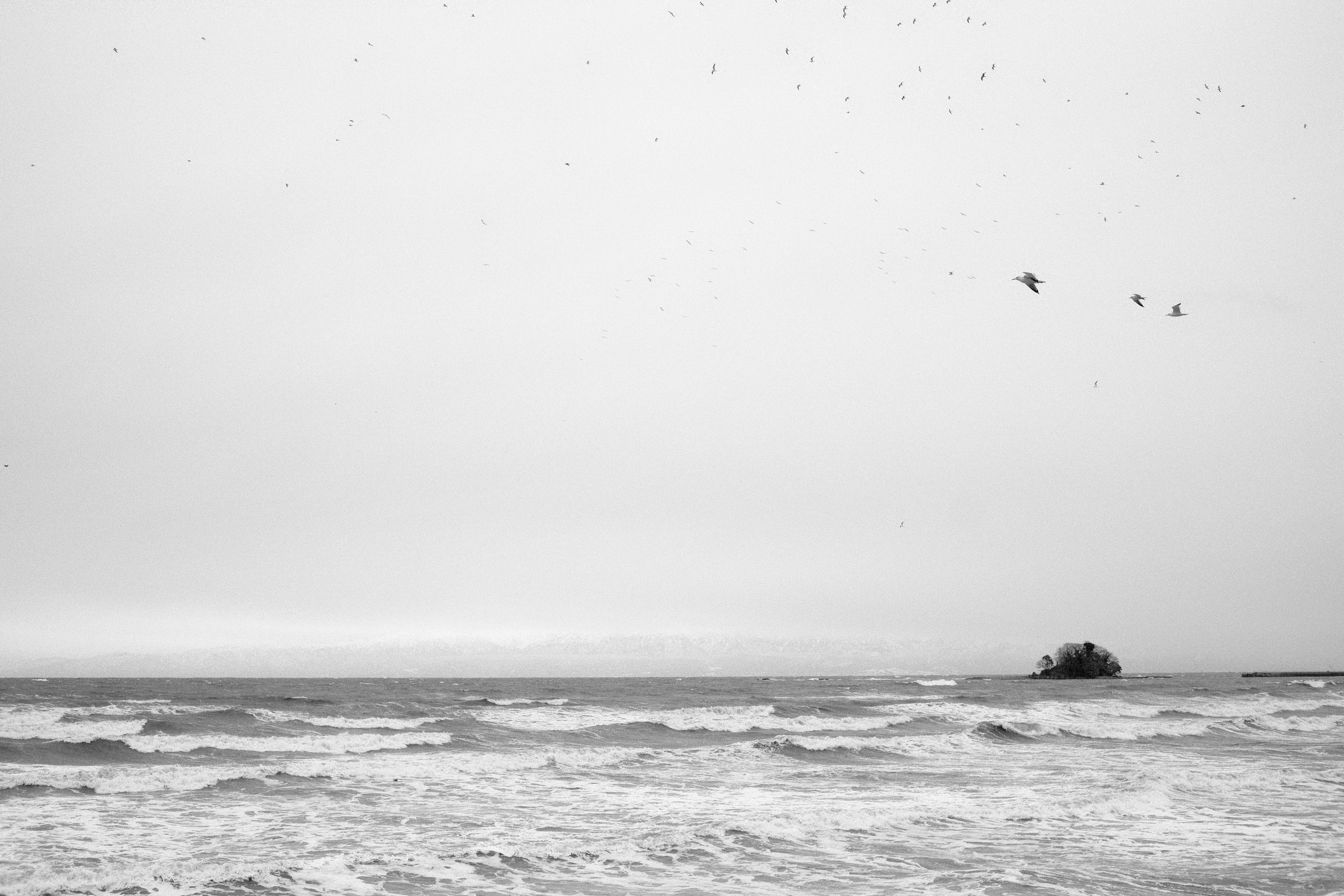 Paisaje marino en blanco y negro con un pequeño barco y aves volando