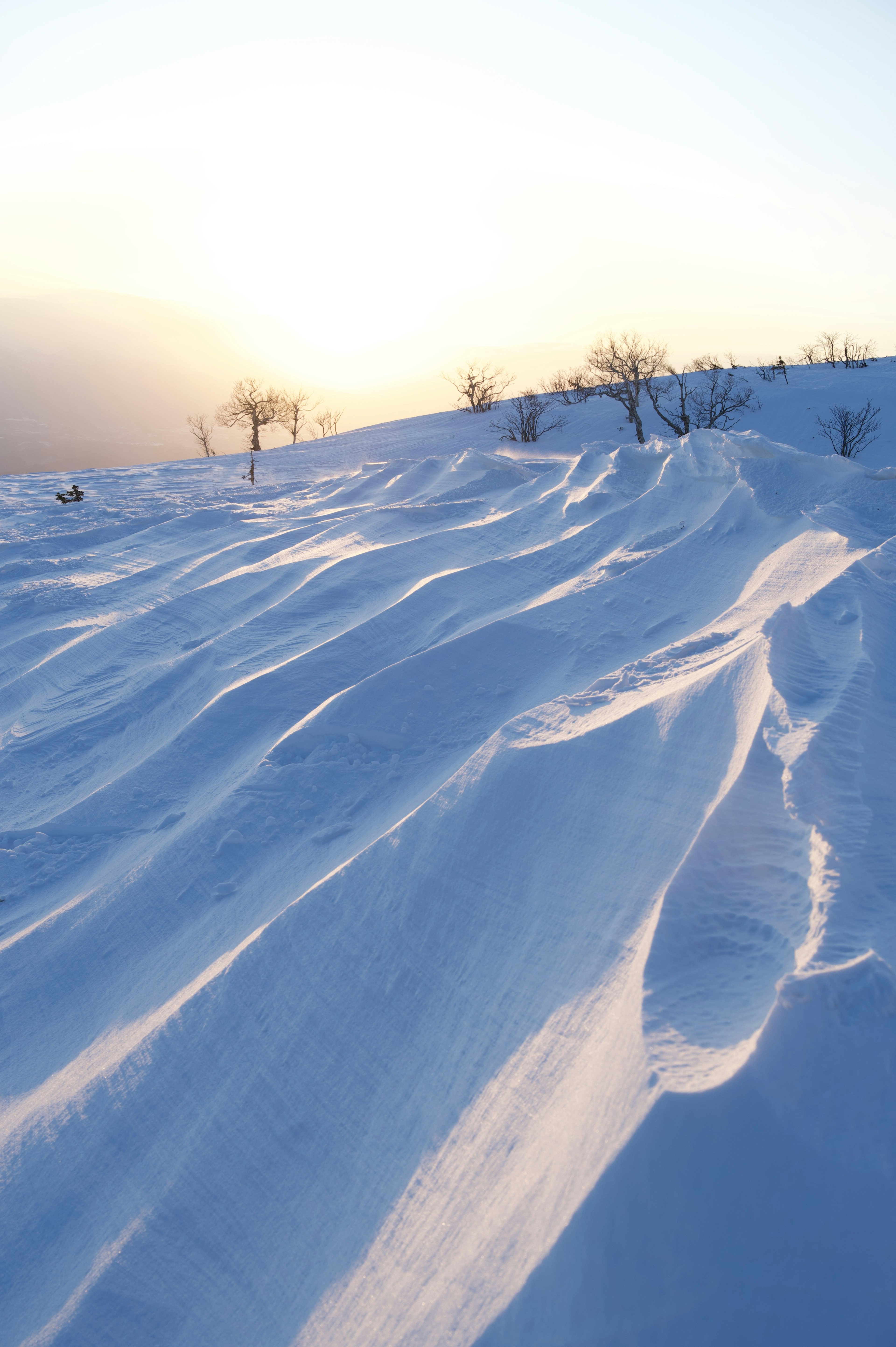 雪の丘の美しい曲線と夕日の柔らかい光