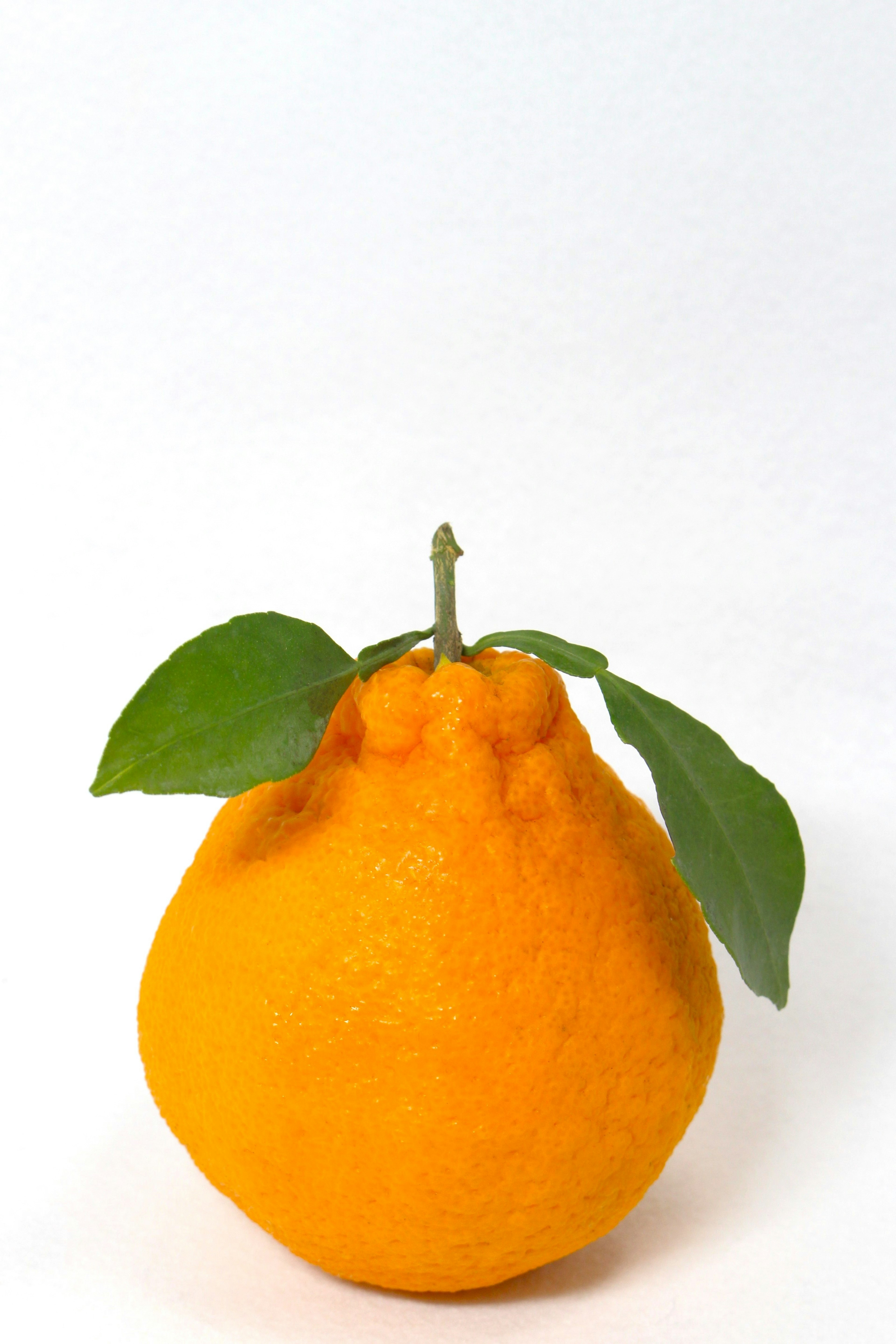 Orange citrus fruit with green leaves attached