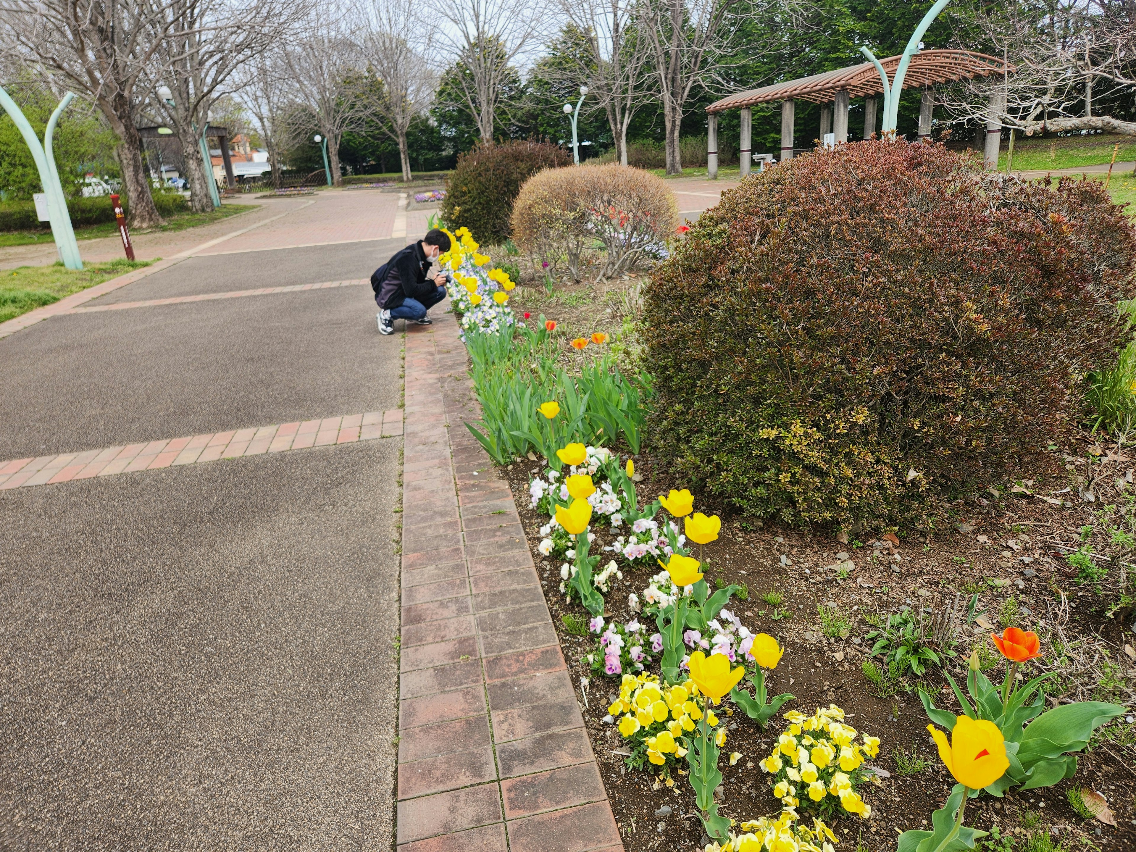 Persona che cura i fiori in un parco con fioriture colorate