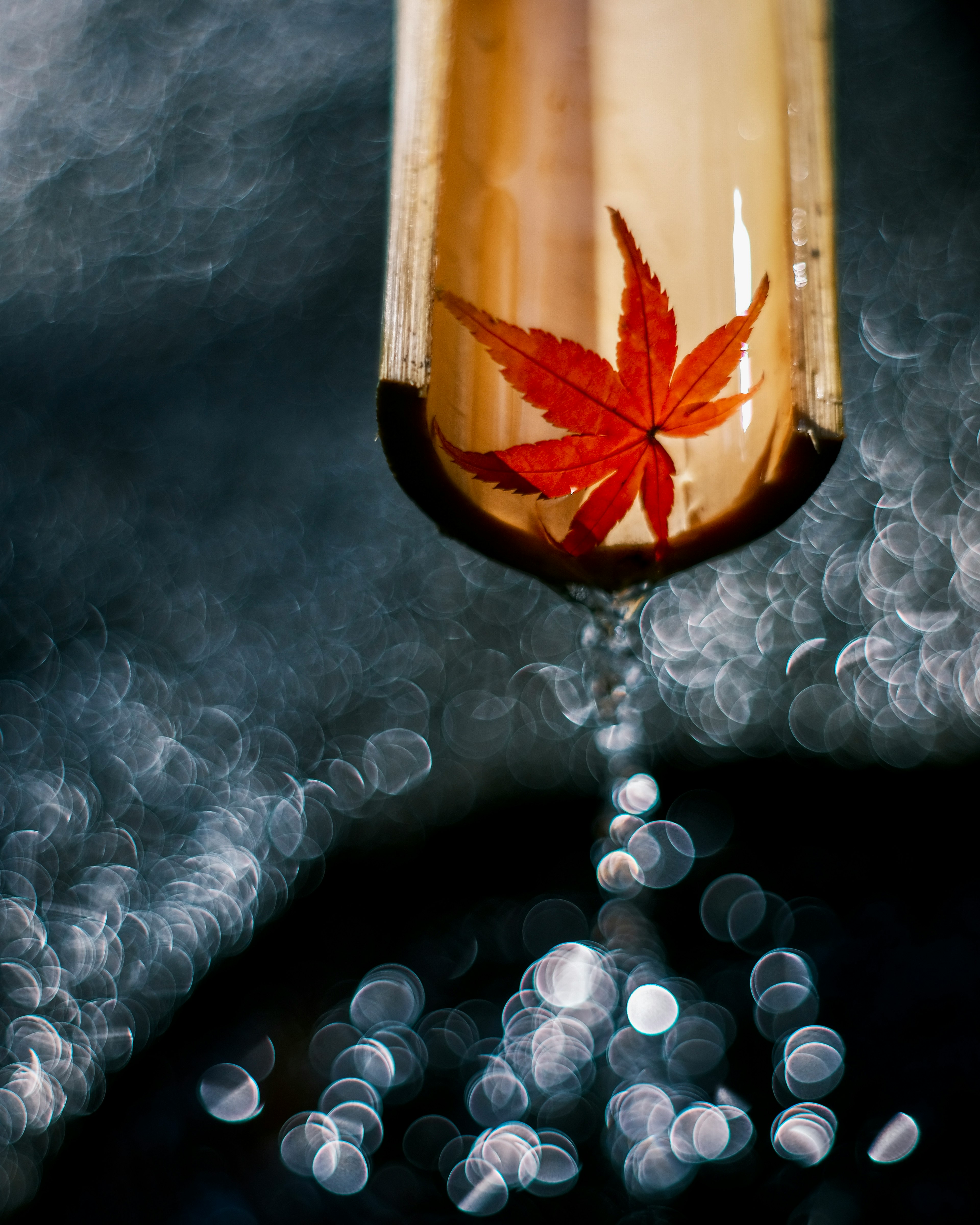 Un tubo de bambú con una hoja de arce rojo y agua fluyendo