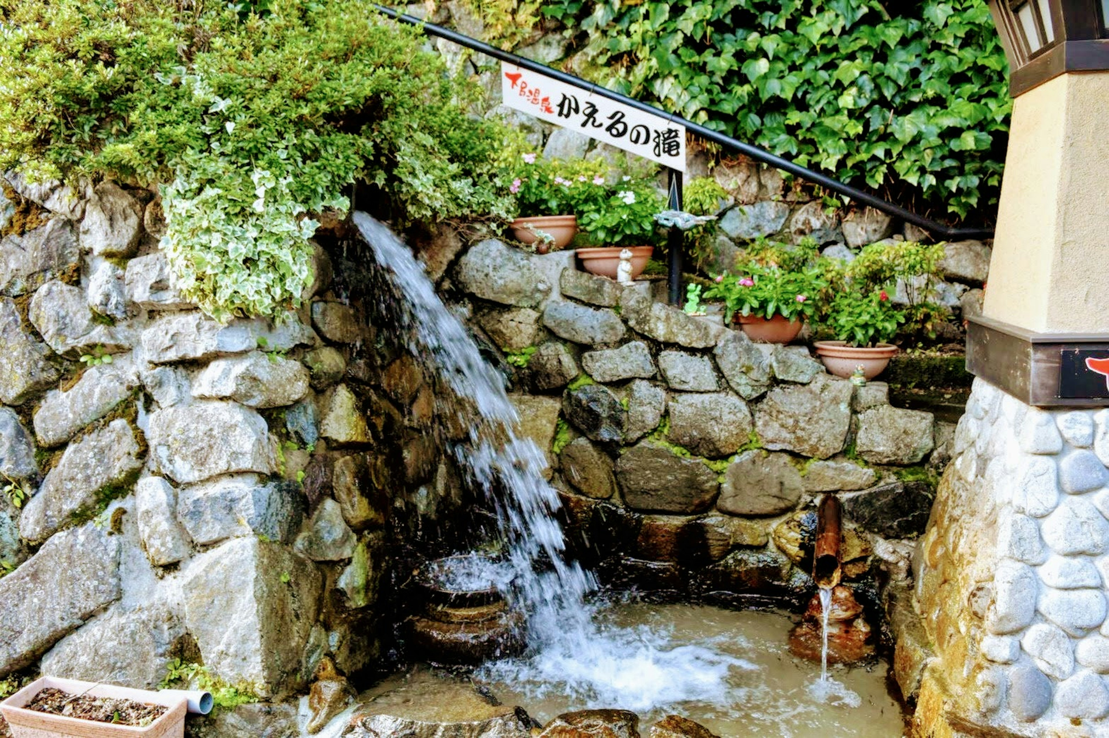 Vista escénica del agua fluyendo de una pared de piedra rodeada de plantas verdes