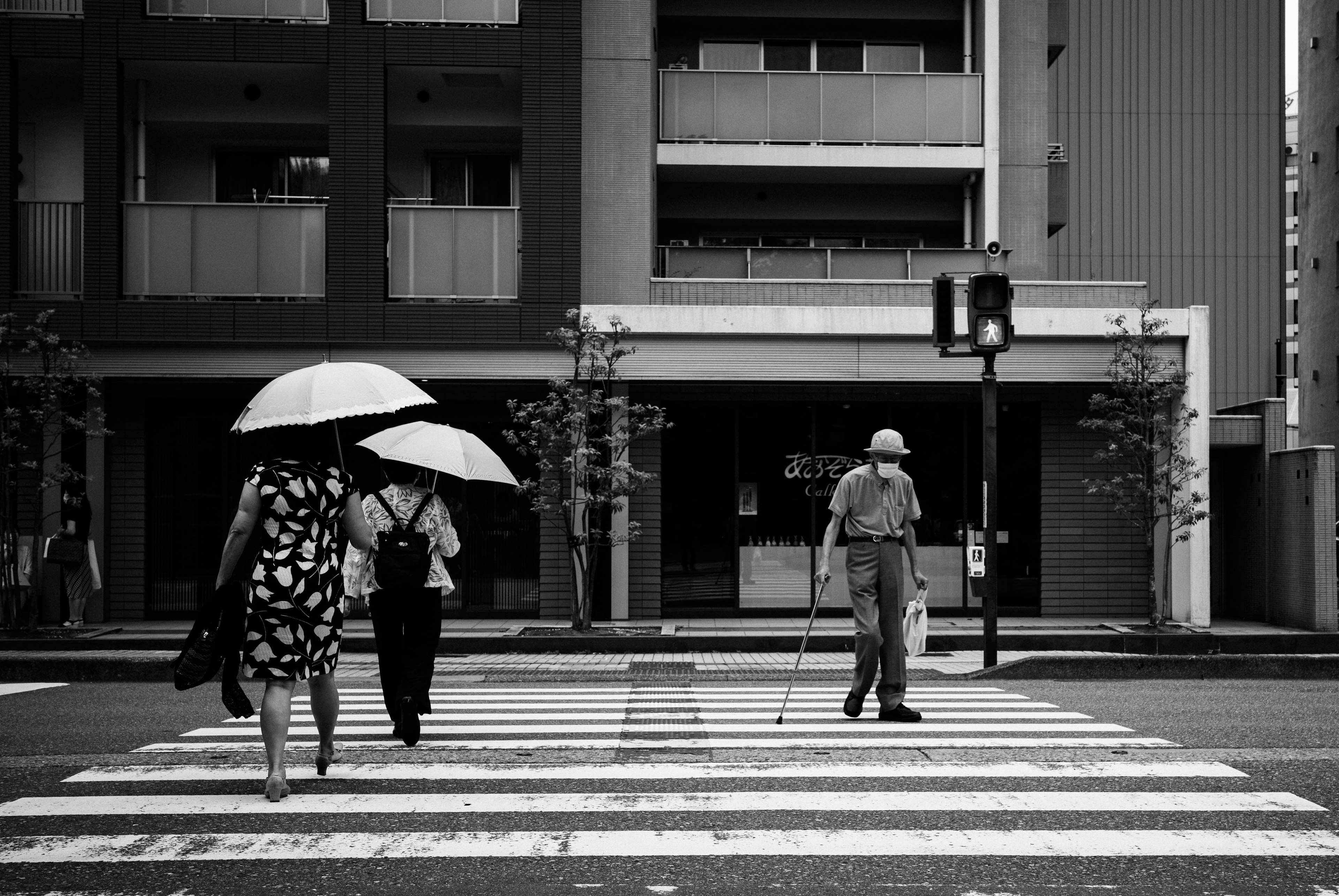 Two people crossing a crosswalk with umbrellas in a black and white city scene