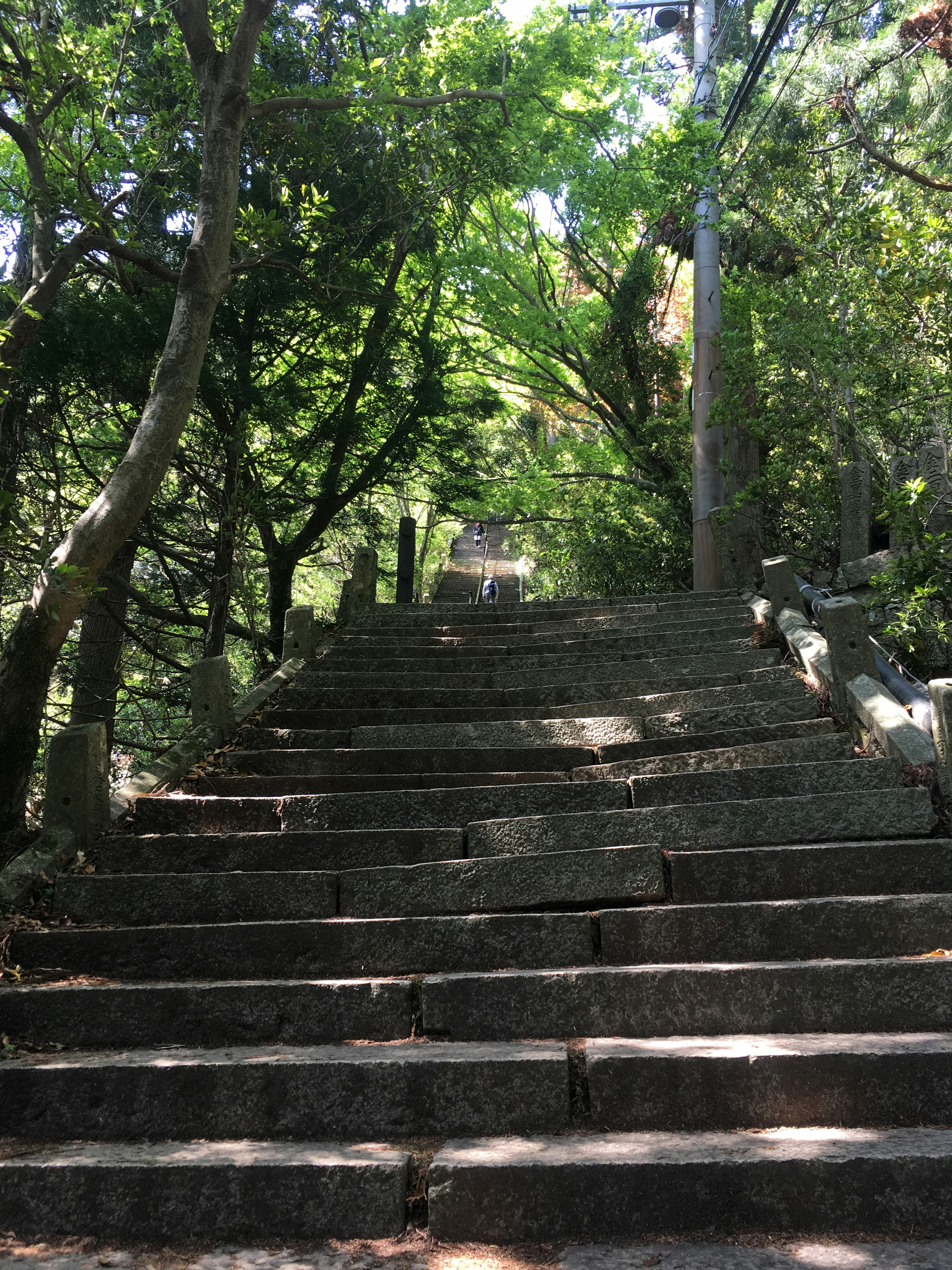 Steinige Treppen, die von üppigem Grün umgeben nach oben führen