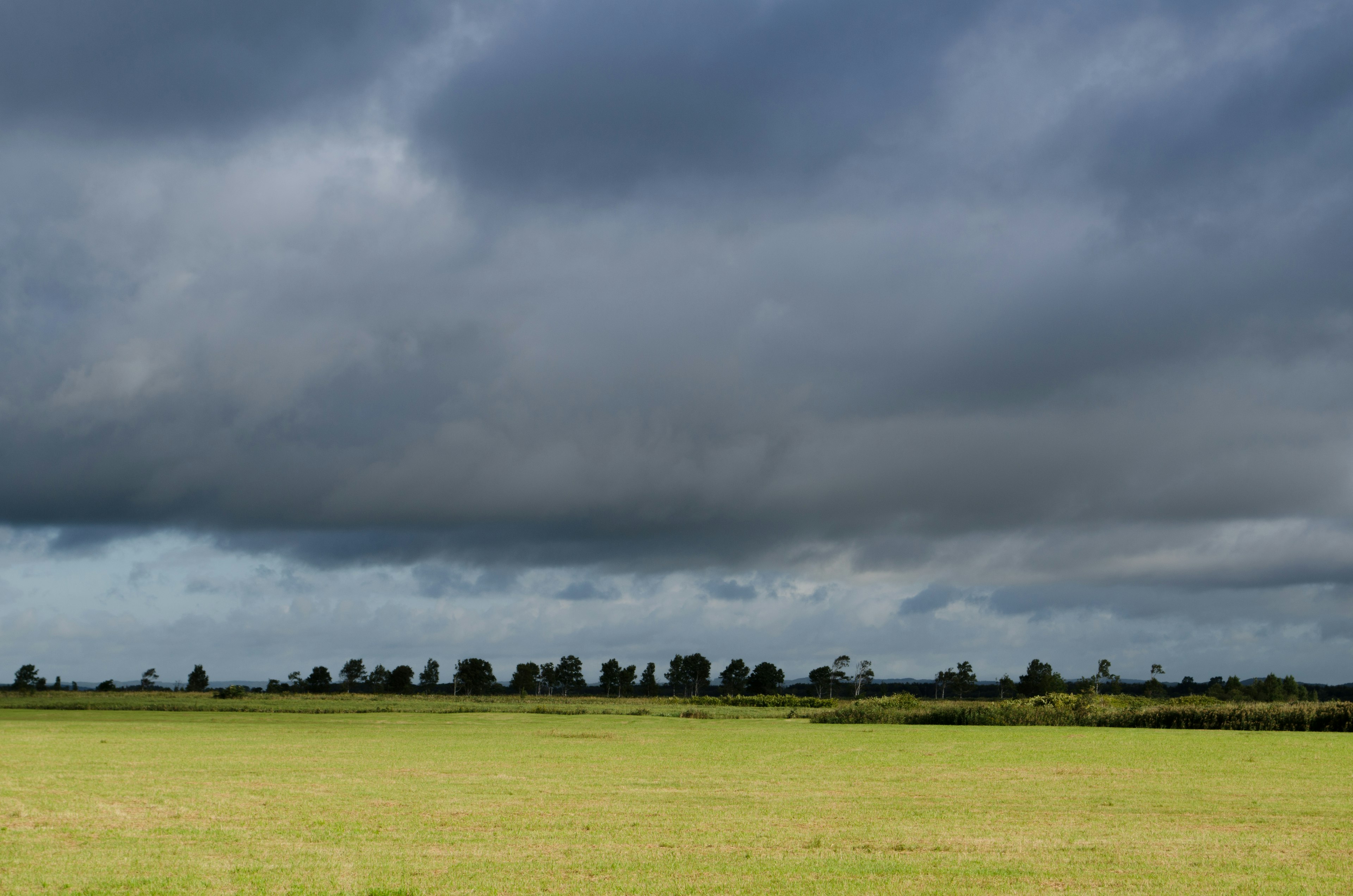 Expansive green field under dark clouds