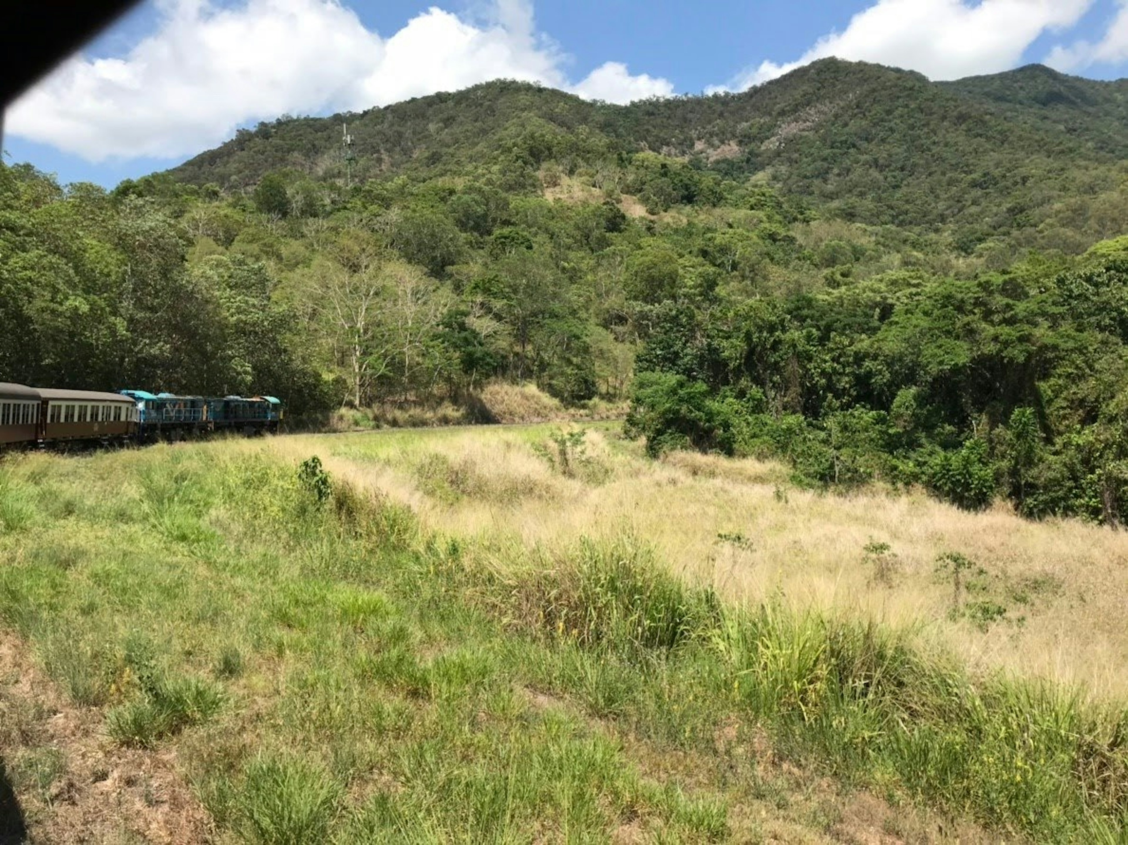 Un tren azul viaja a través de un paisaje montañoso exuberante