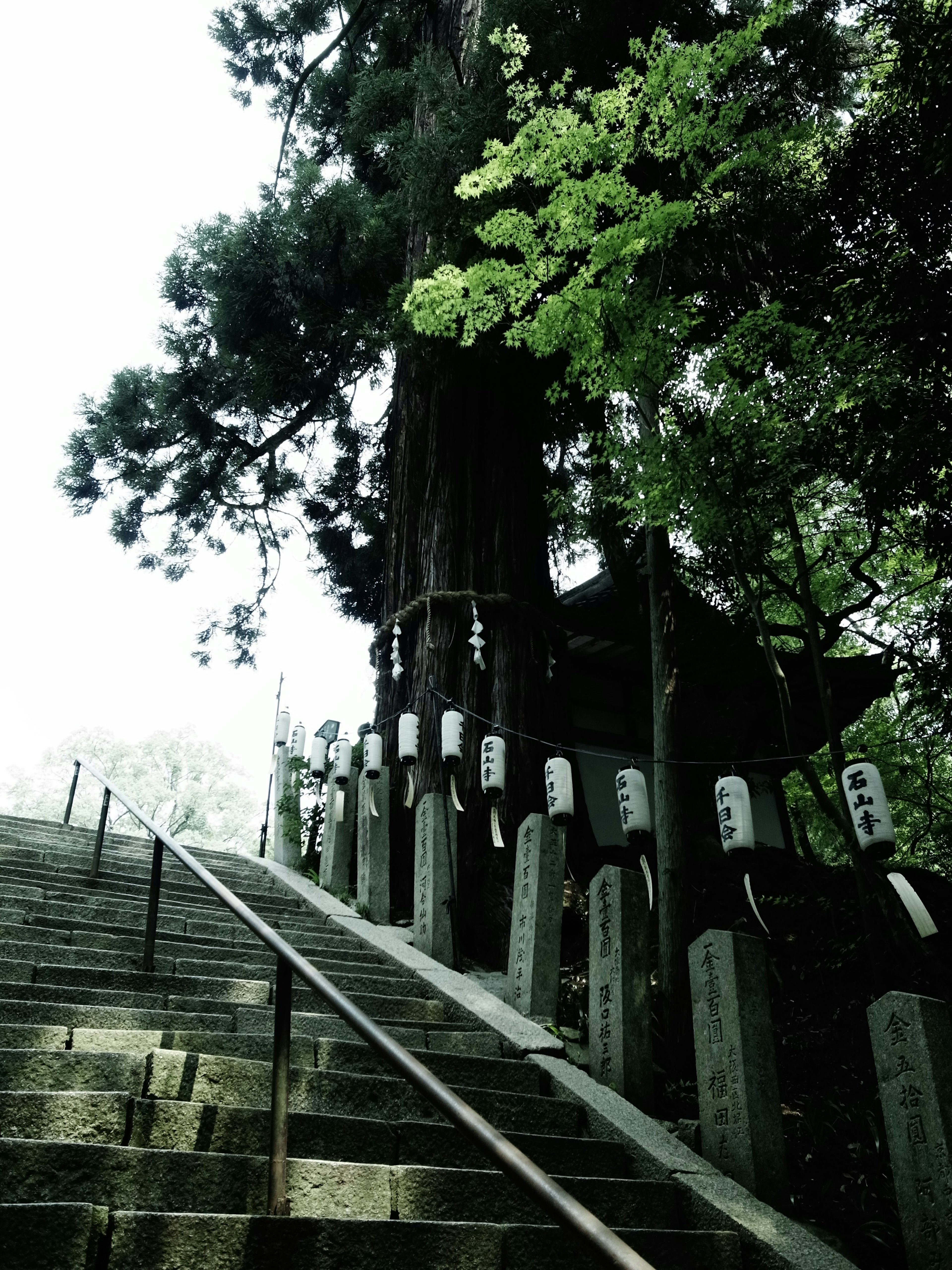 A staircase leading up to a large tree and stone markers in a misty shrine