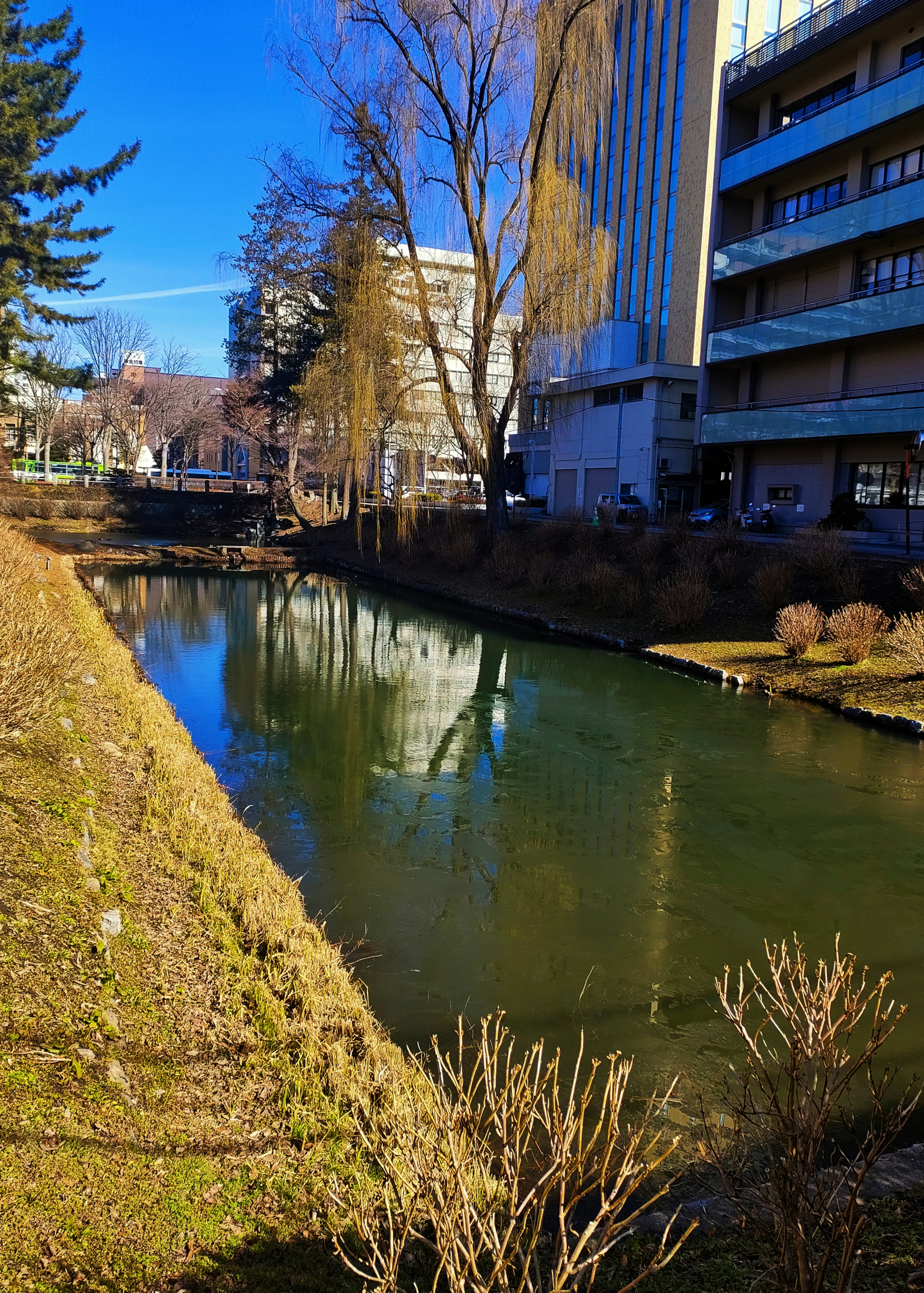 緑の水が流れる川と周囲の建物と木々の景色