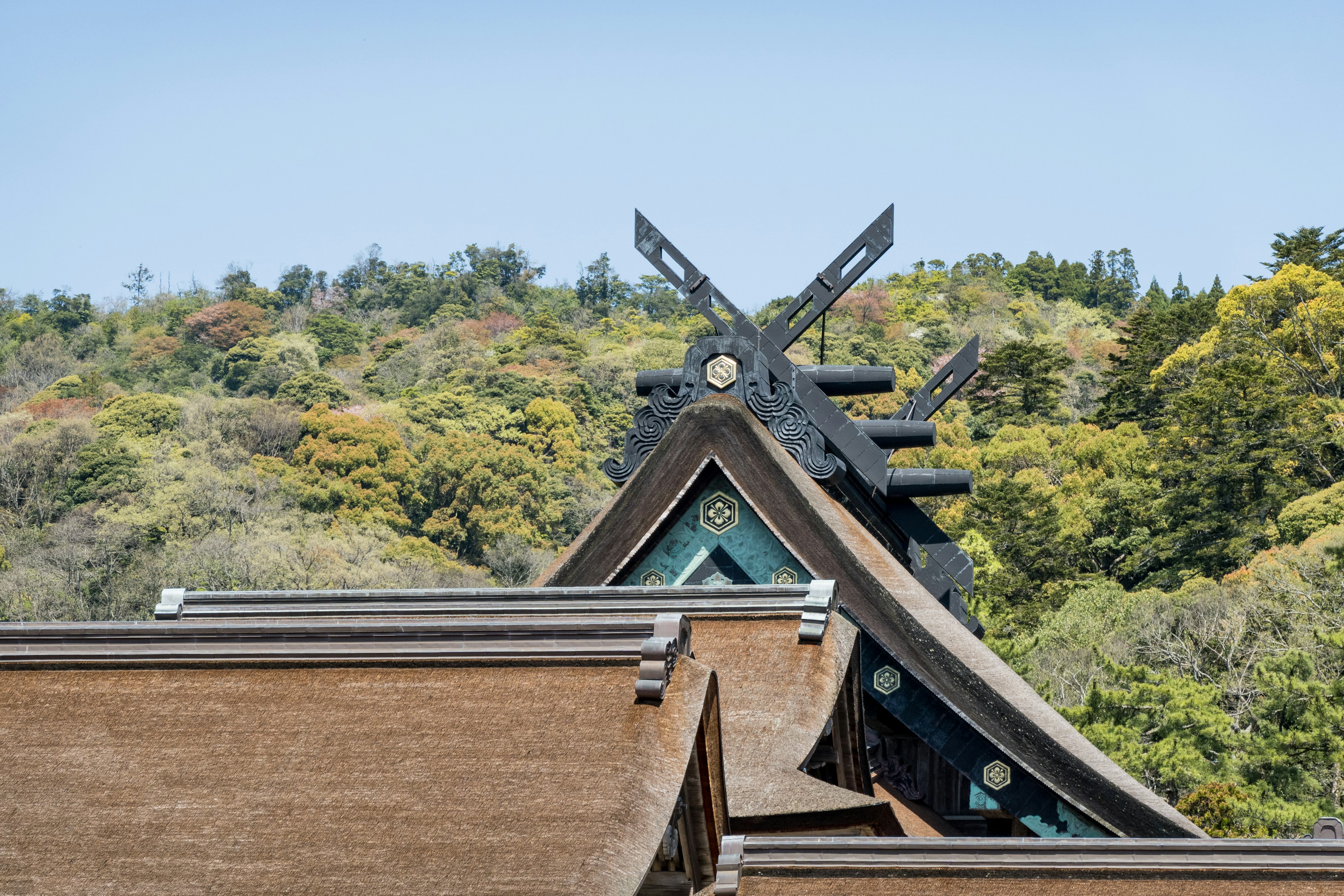 美しい木造建築の屋根と周囲の緑豊かな山々