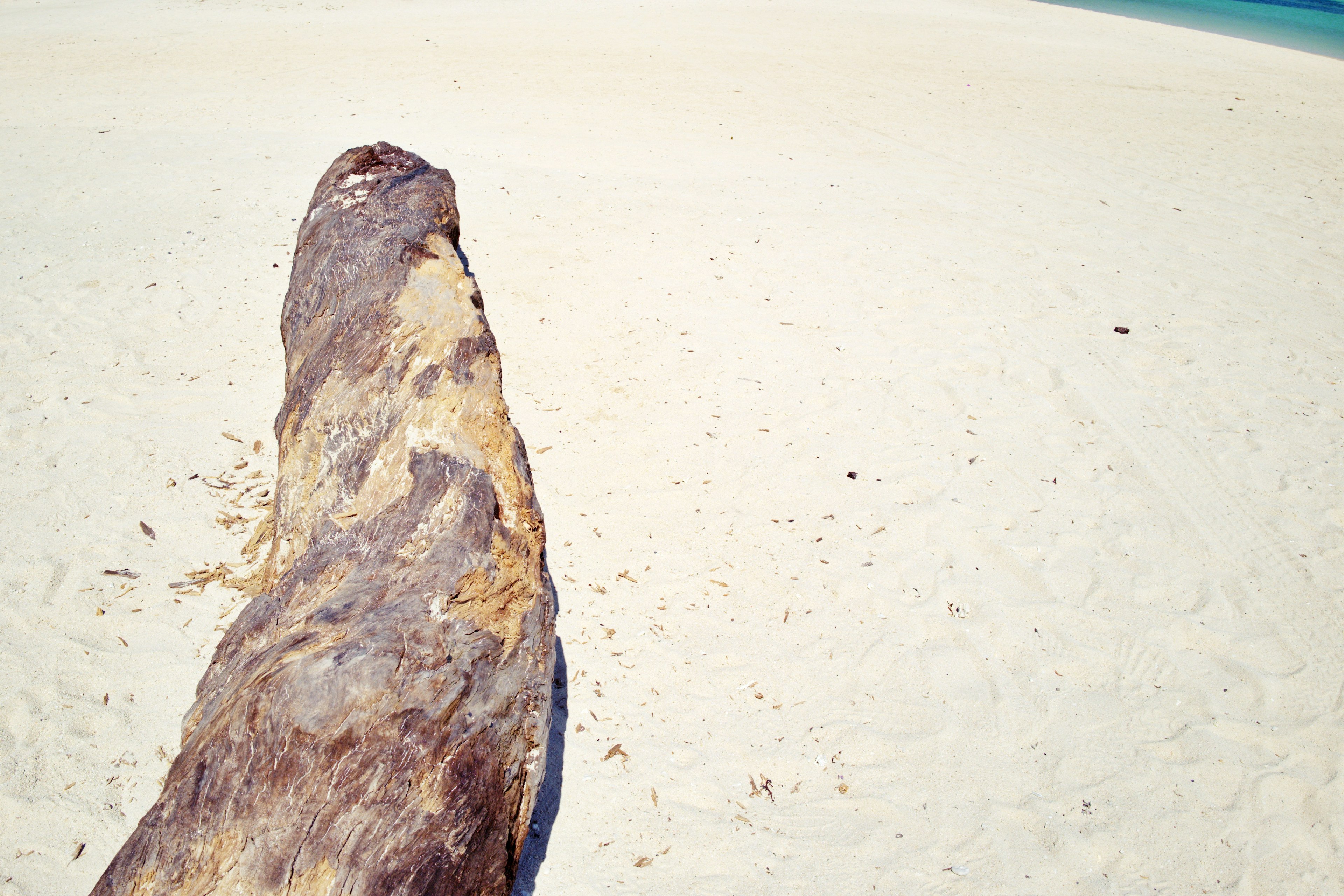 A large log lying on a white sandy beach