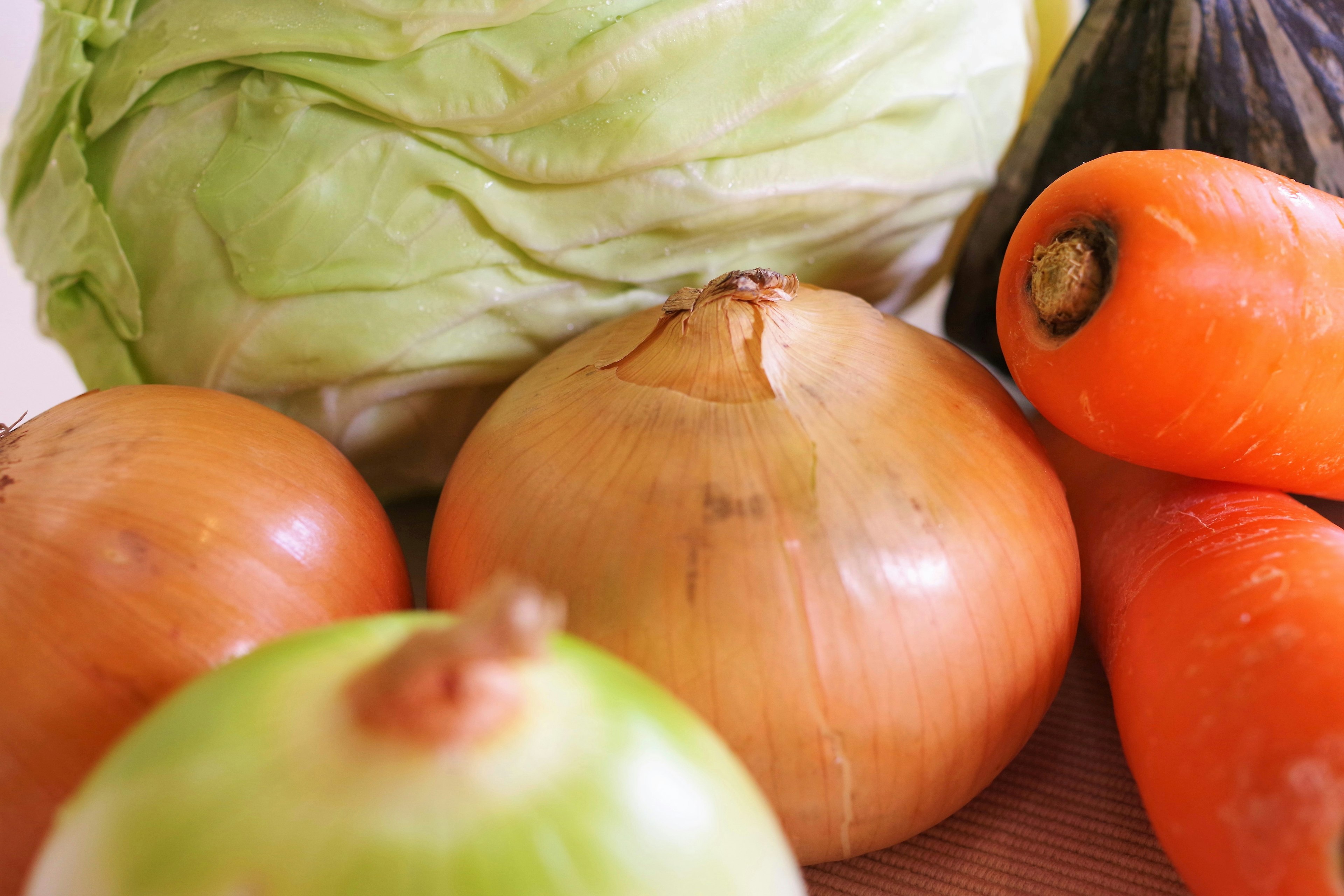 Selección fresca de verduras que incluye repollo, cebollas, zanahorias y calabaza con colores y formas distintas