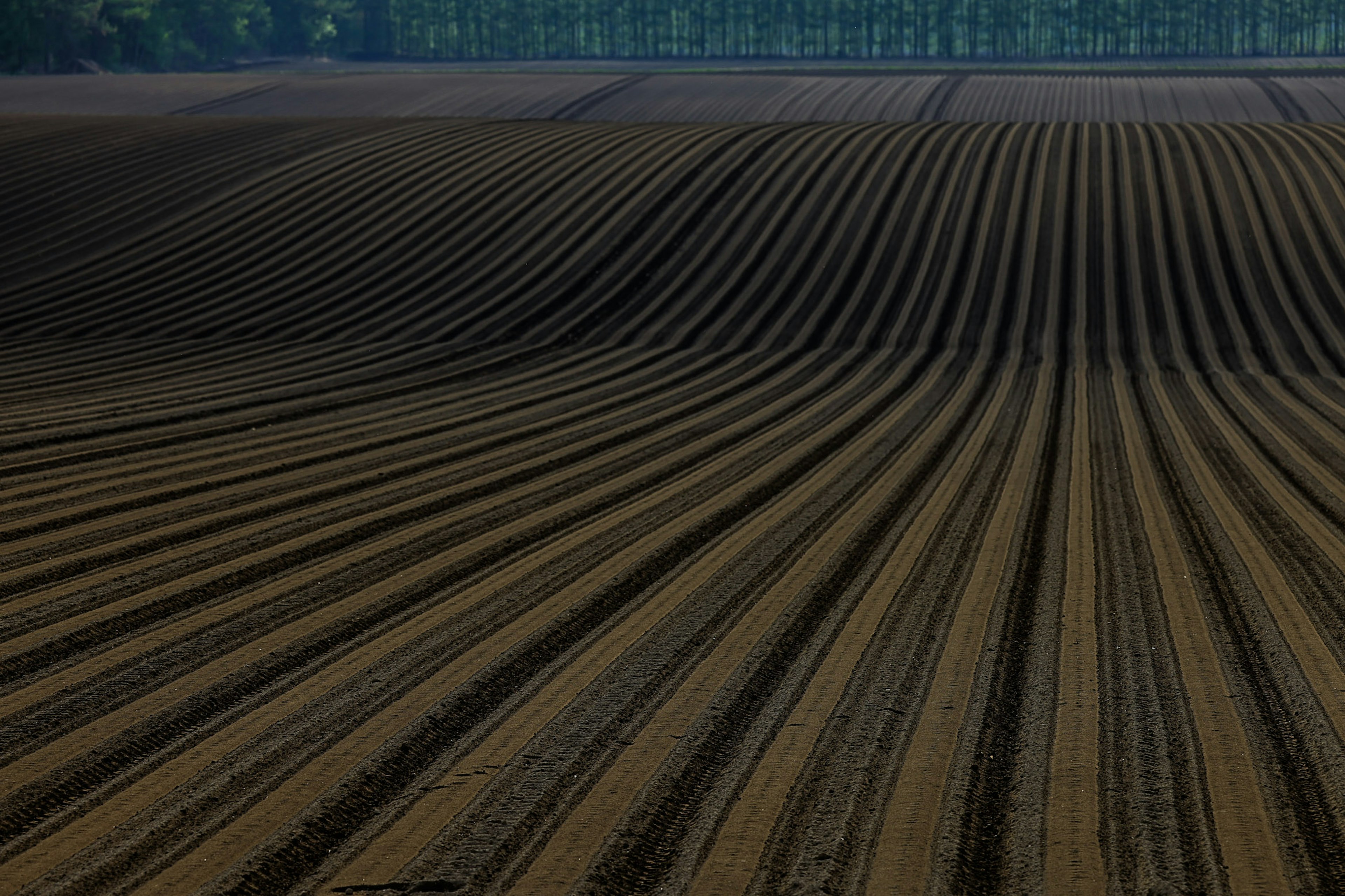 Wavy patterns of farmland with linear furrows