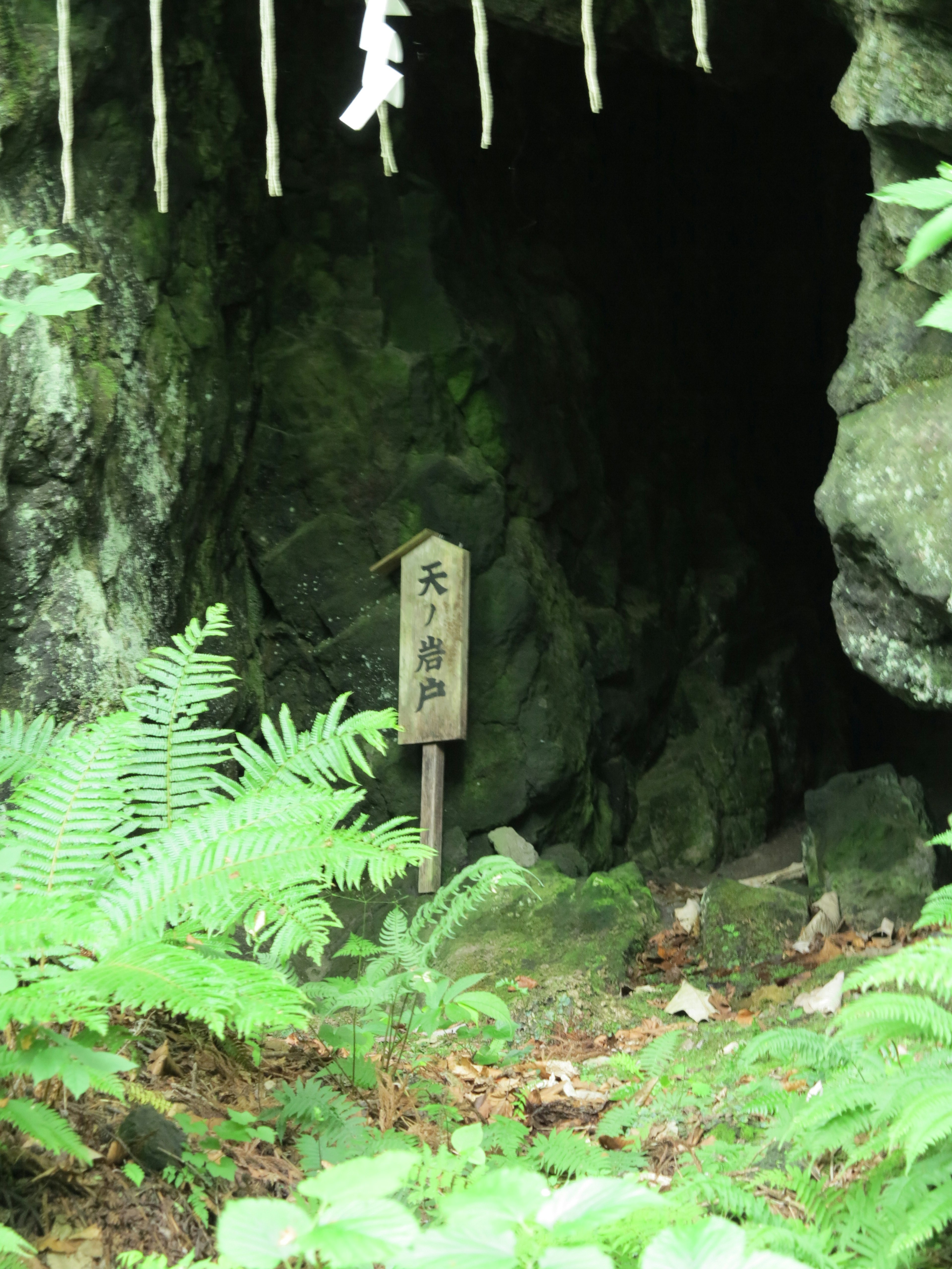 Cave entrance surrounded by lush greenery and wooden sign